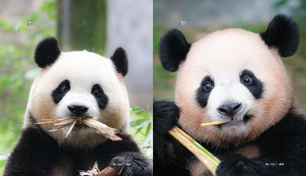 게시글 대표 이미지