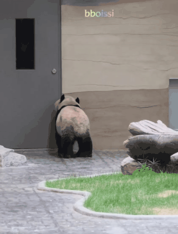 게시글 대표 이미지