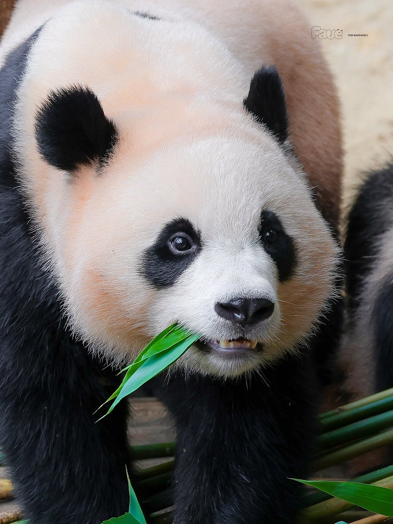 게시글 대표 이미지