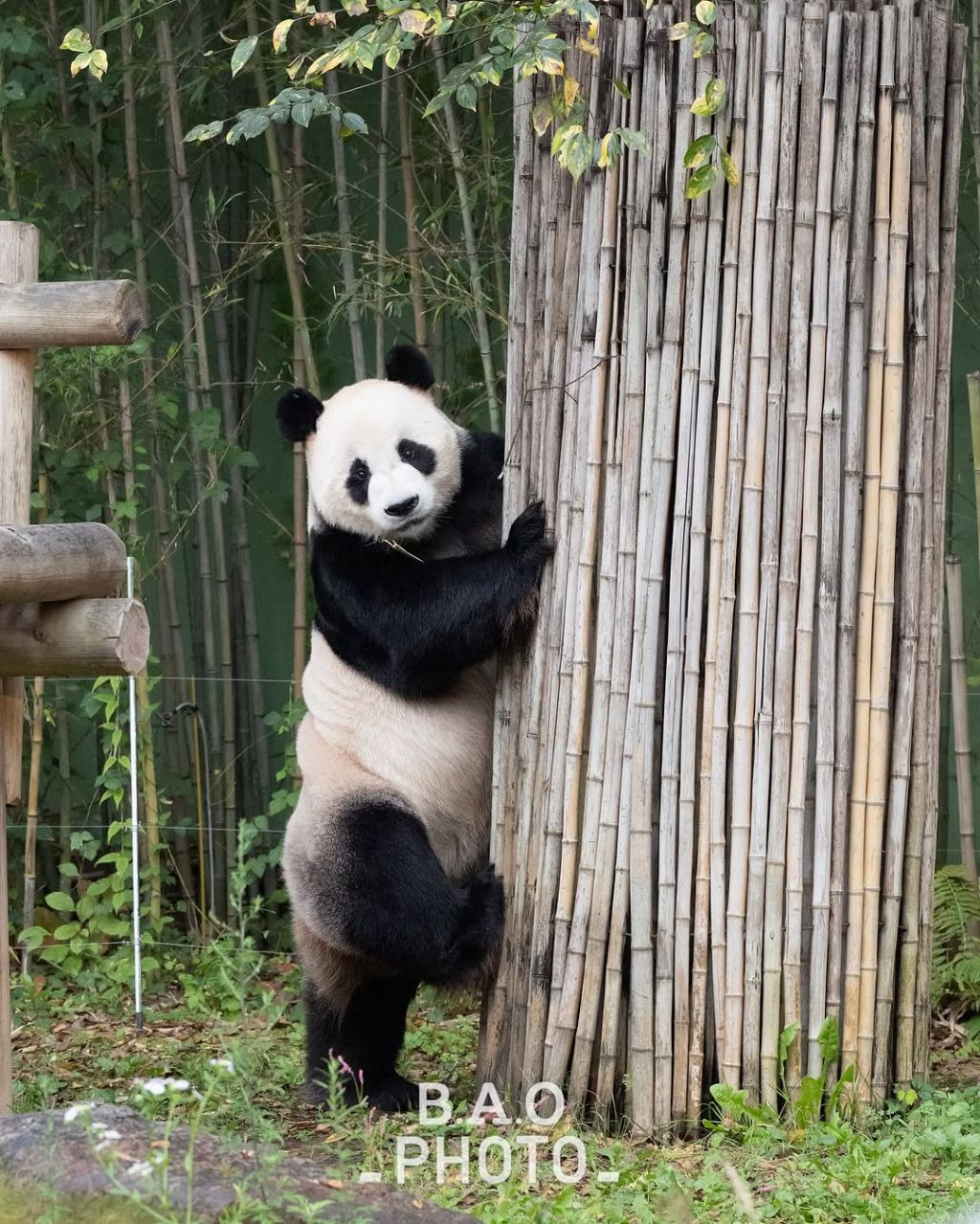 게시글 대표 이미지