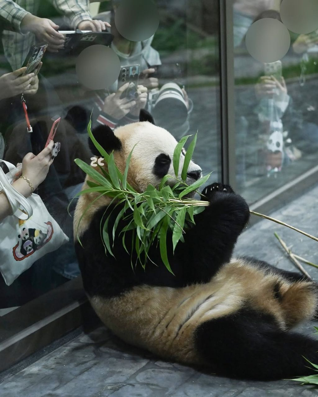 게시글 대표 이미지