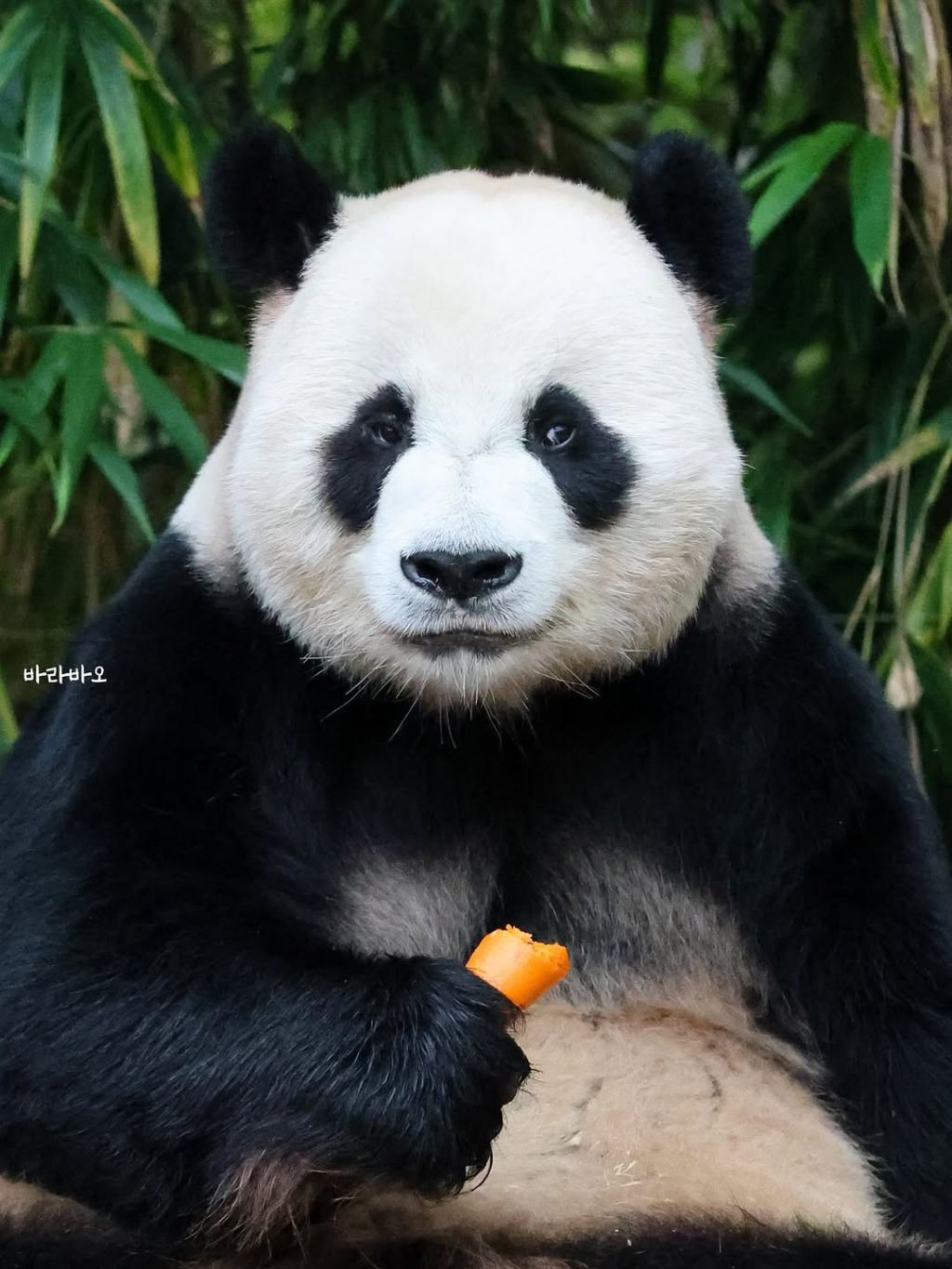 게시글 대표 이미지