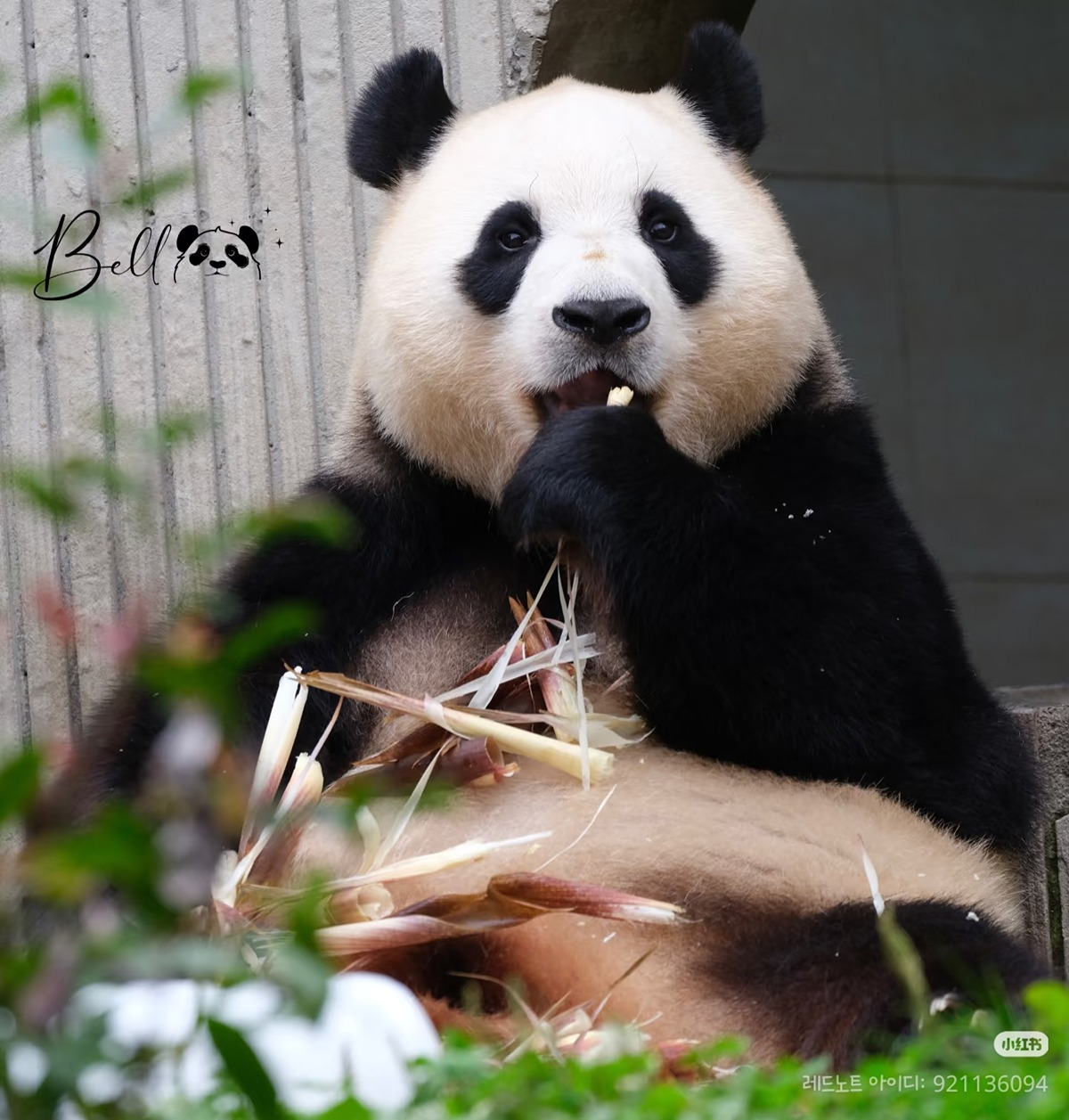 게시글 대표 이미지