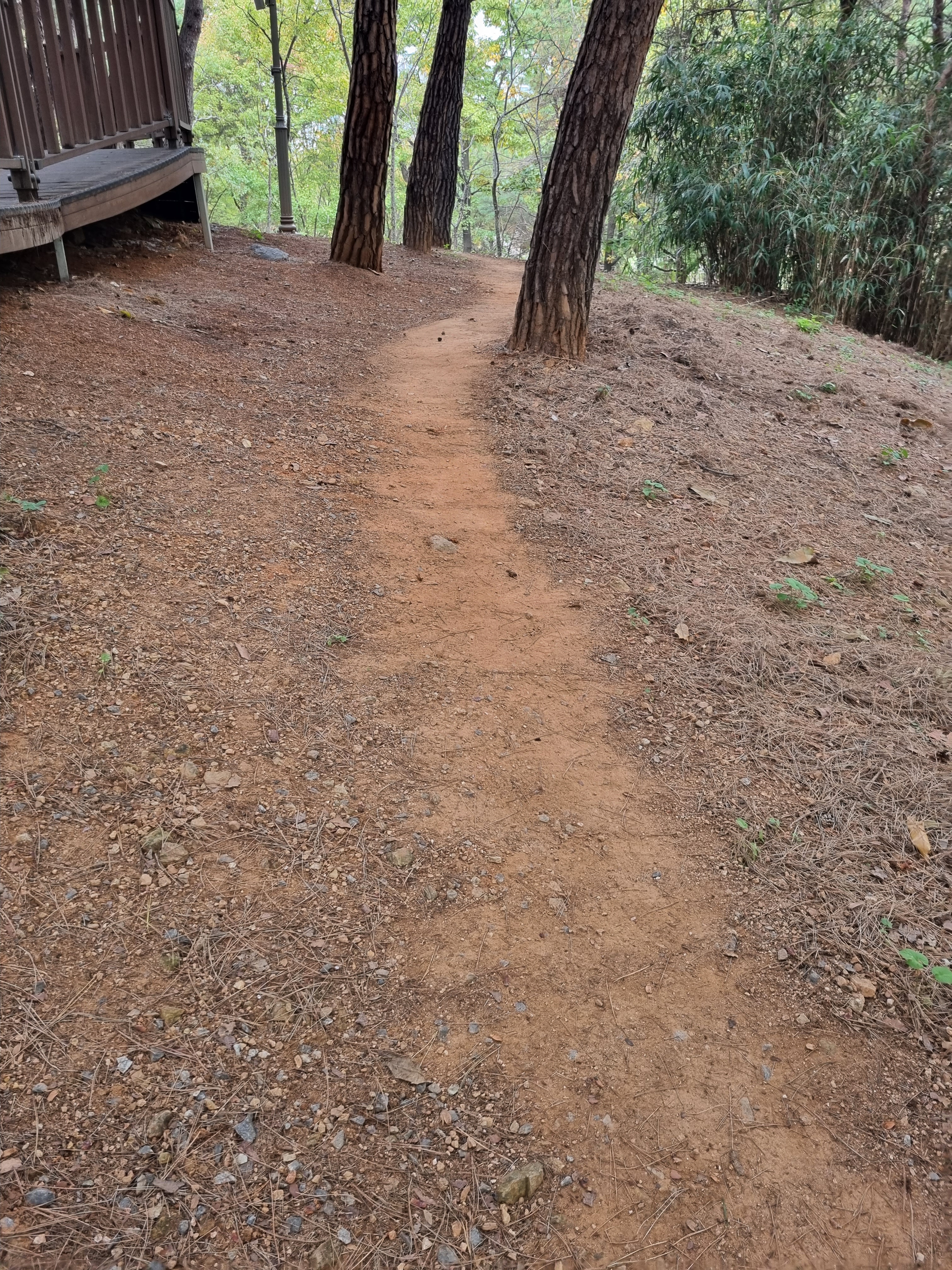 게시글 대표 이미지