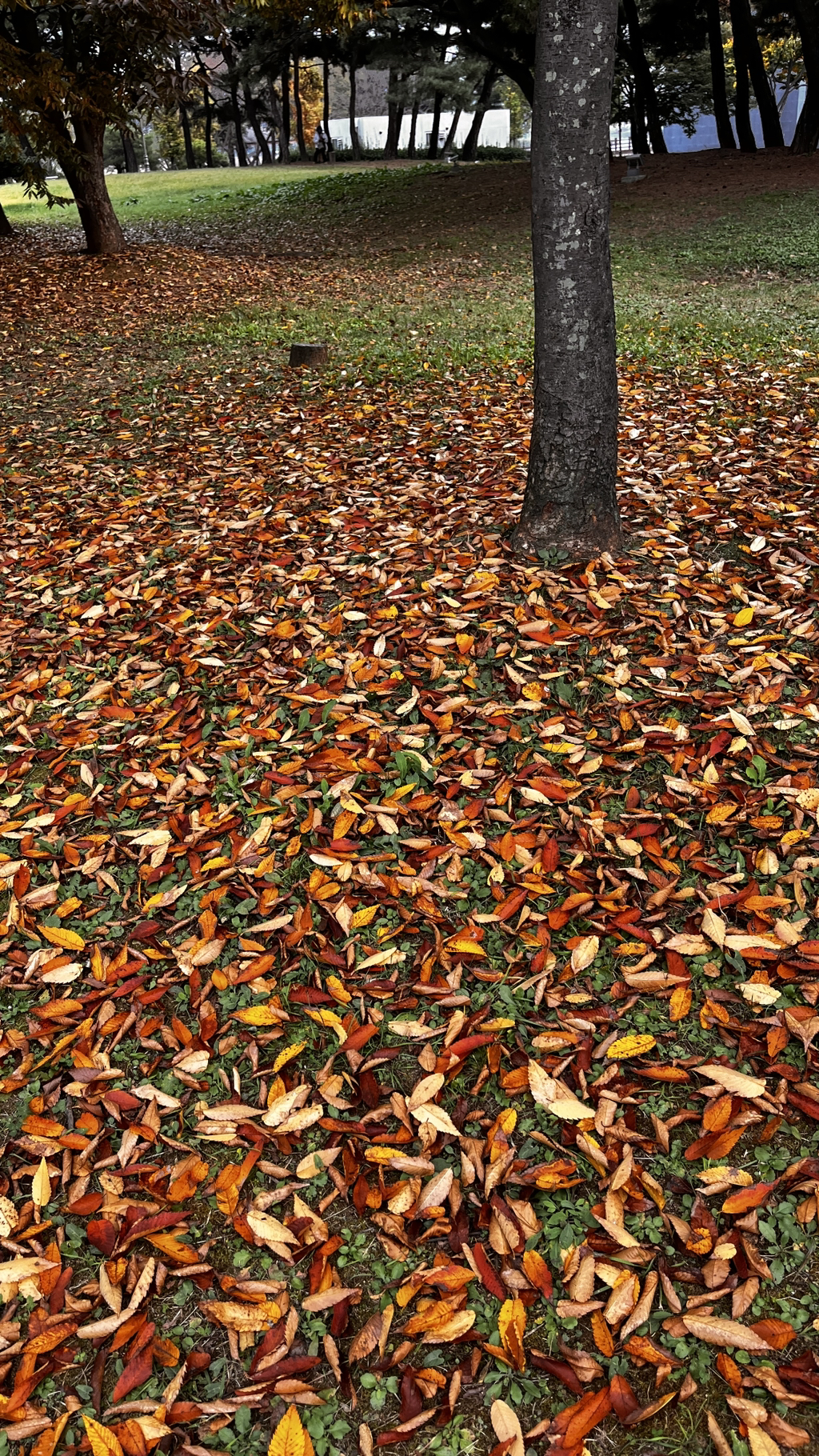 게시글 대표 이미지