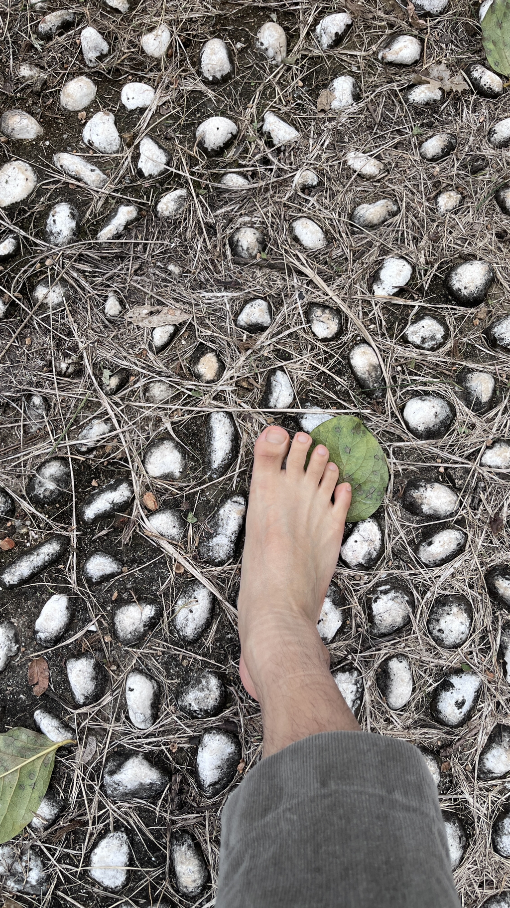 게시글 대표 이미지