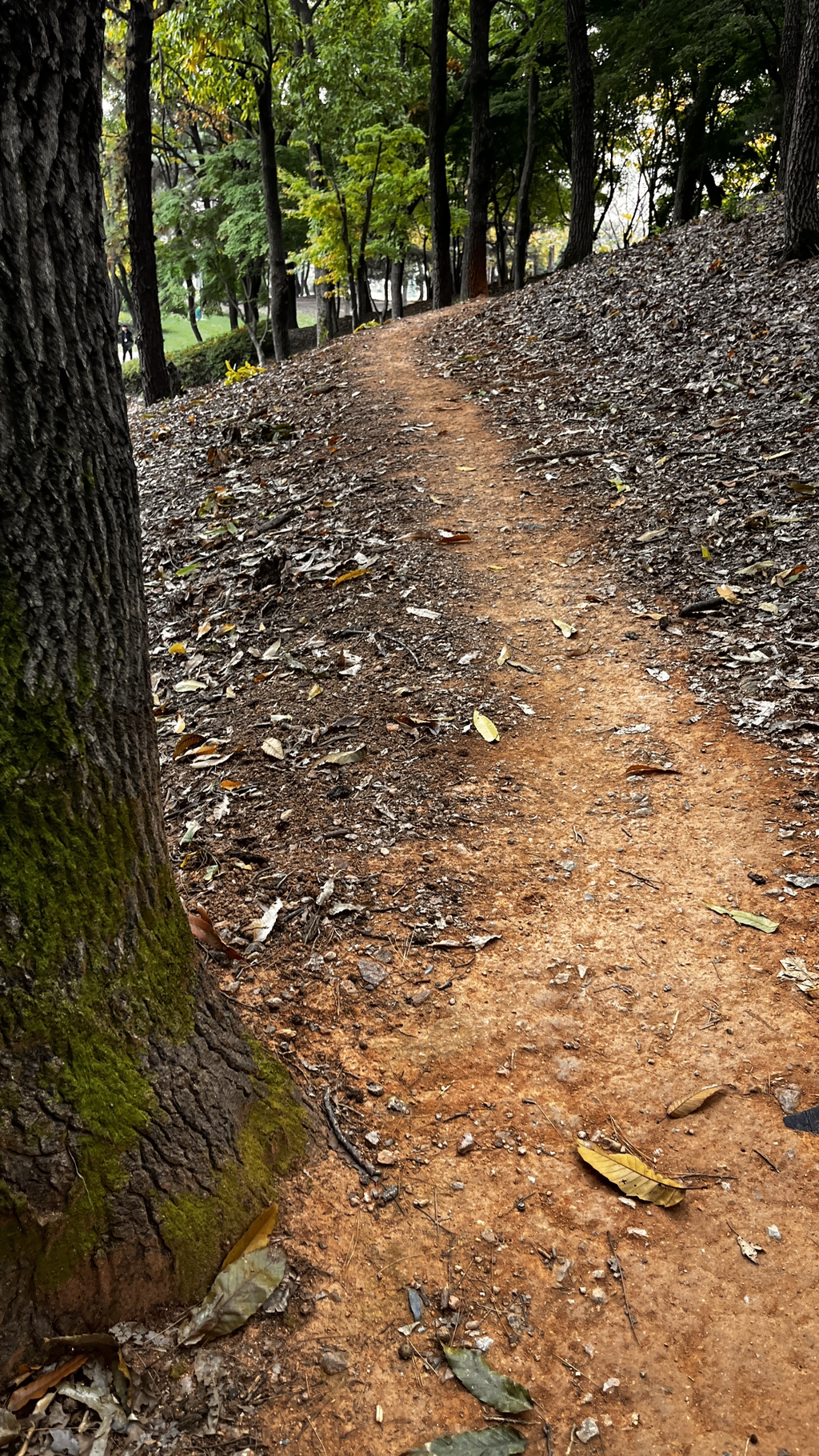 게시글 대표 이미지