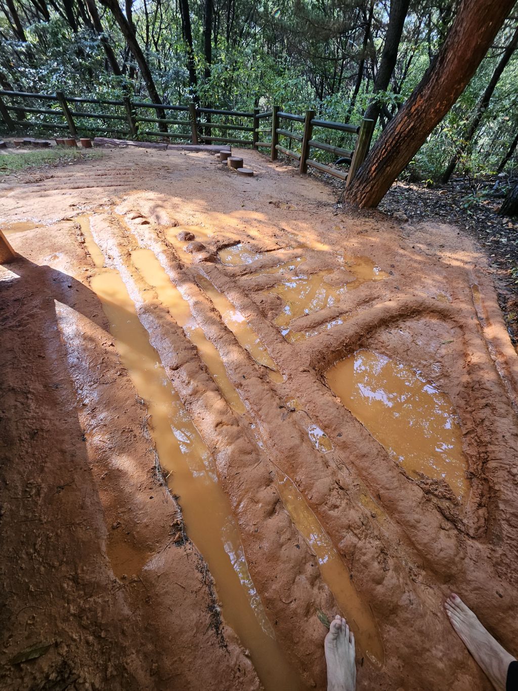 게시글 대표 이미지