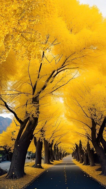 게시글 대표 이미지