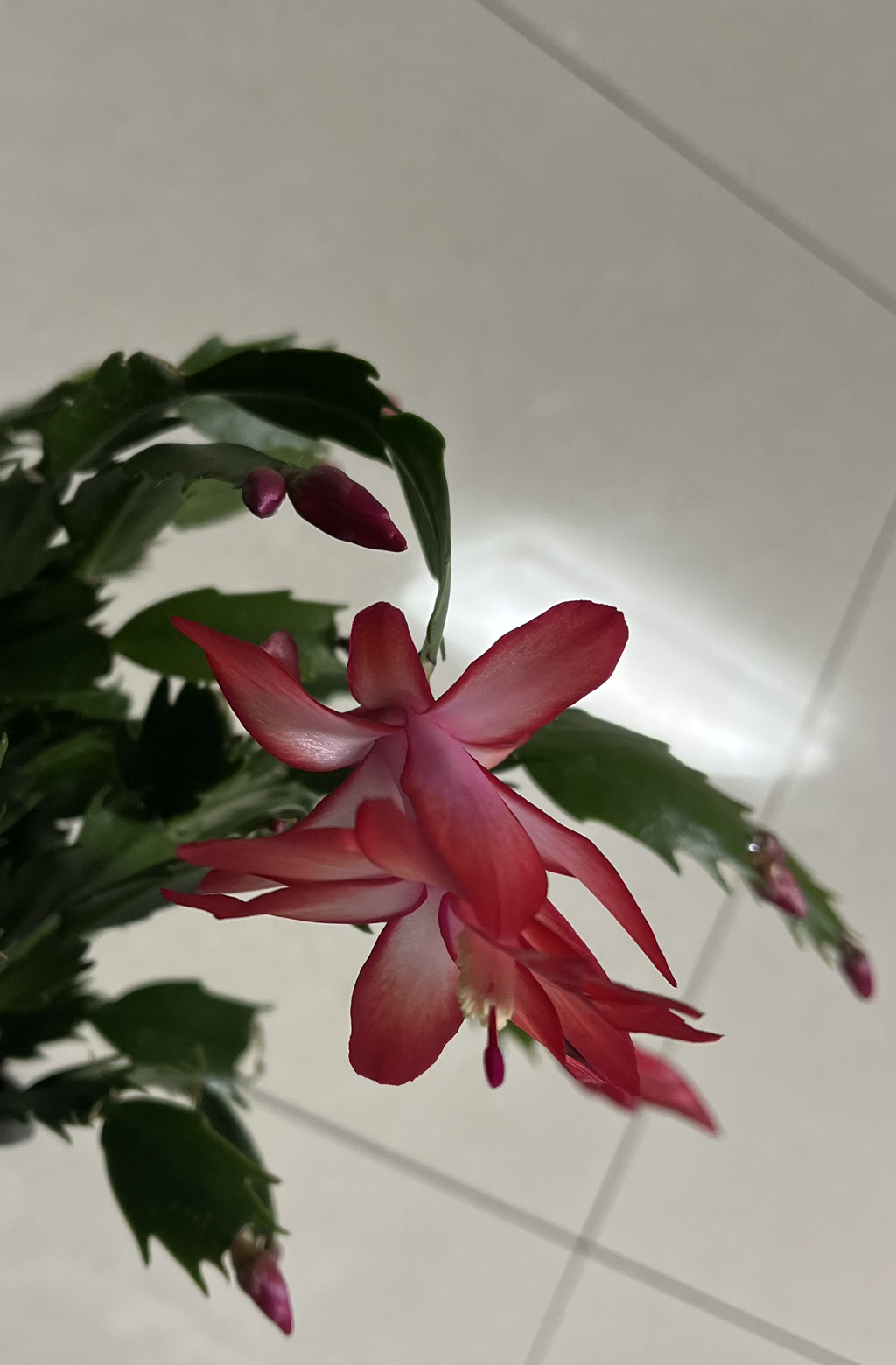 게시글 대표 이미지