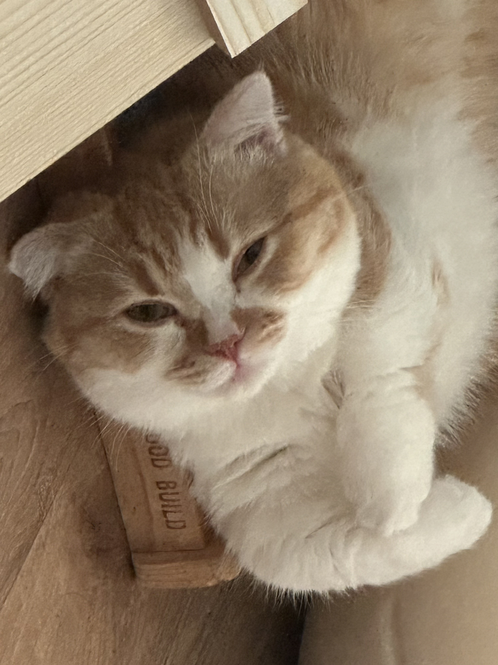 게시글 대표 이미지