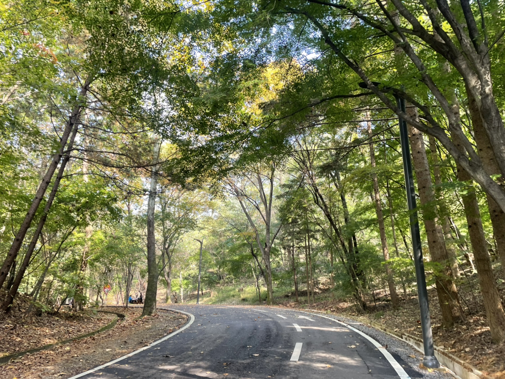 게시글 대표 이미지