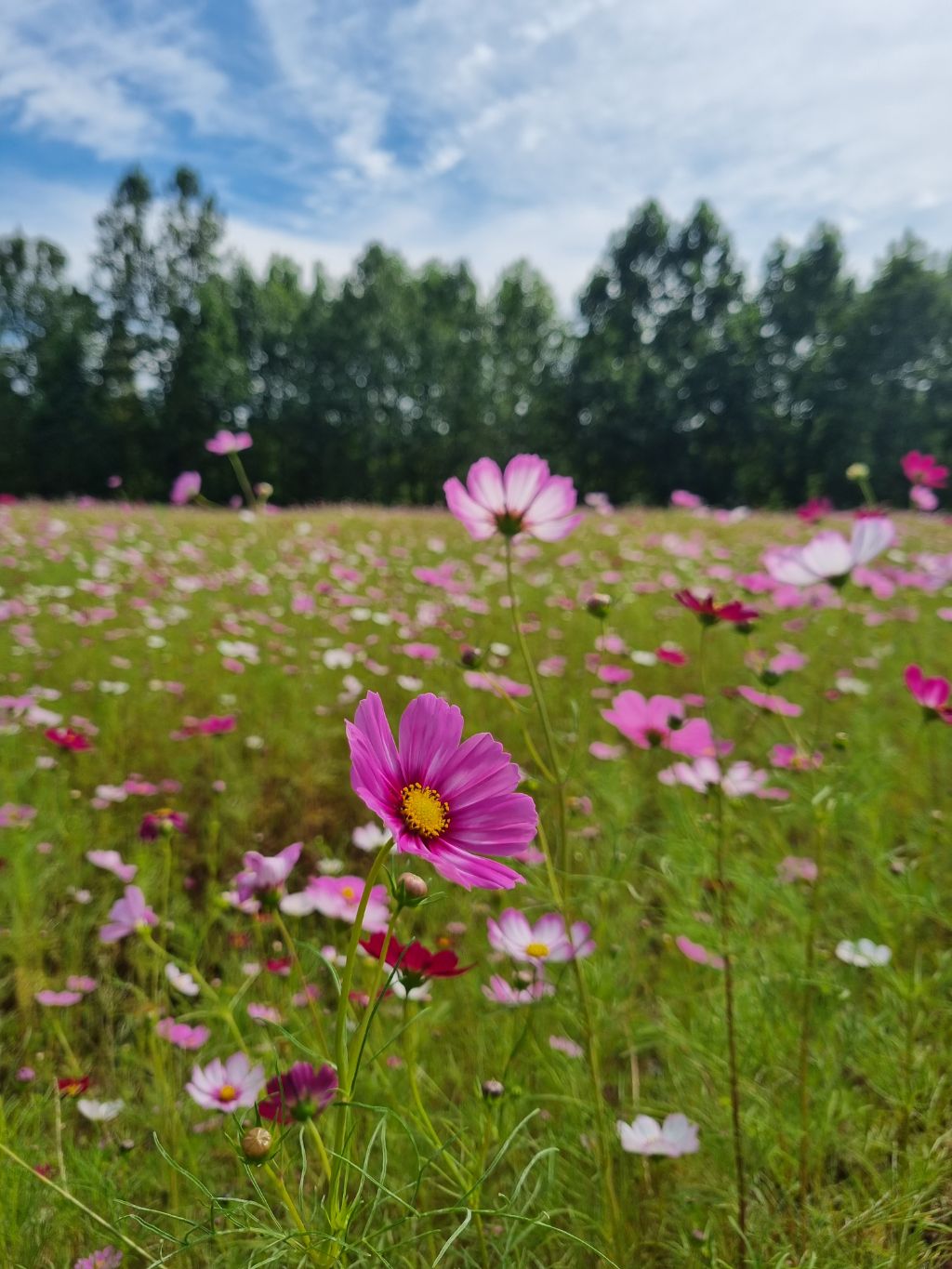 게시글 대표 이미지