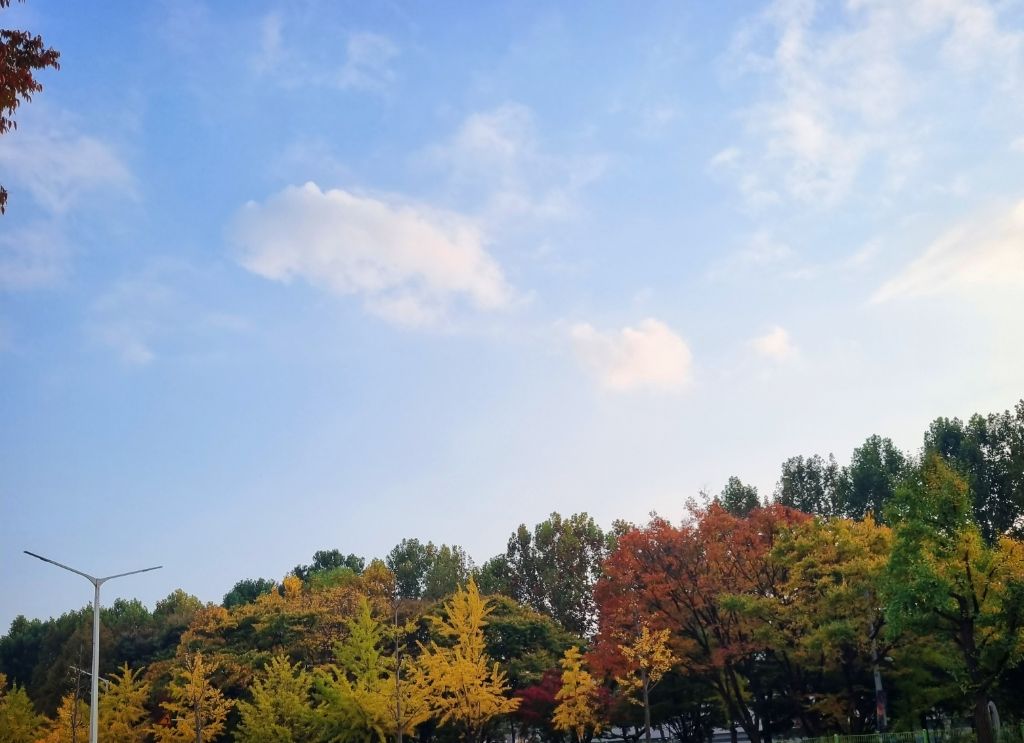 게시글 대표 이미지