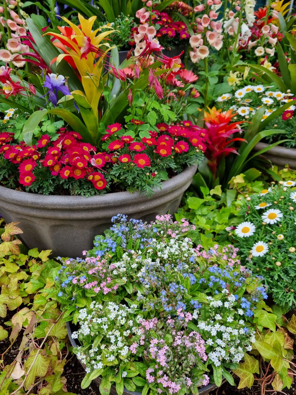 게시글 대표 이미지