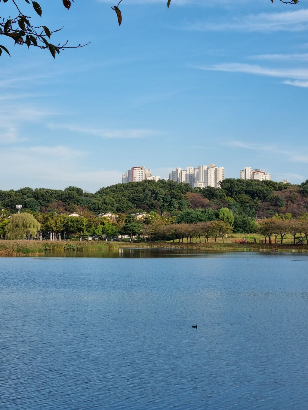 게시글 대표 이미지