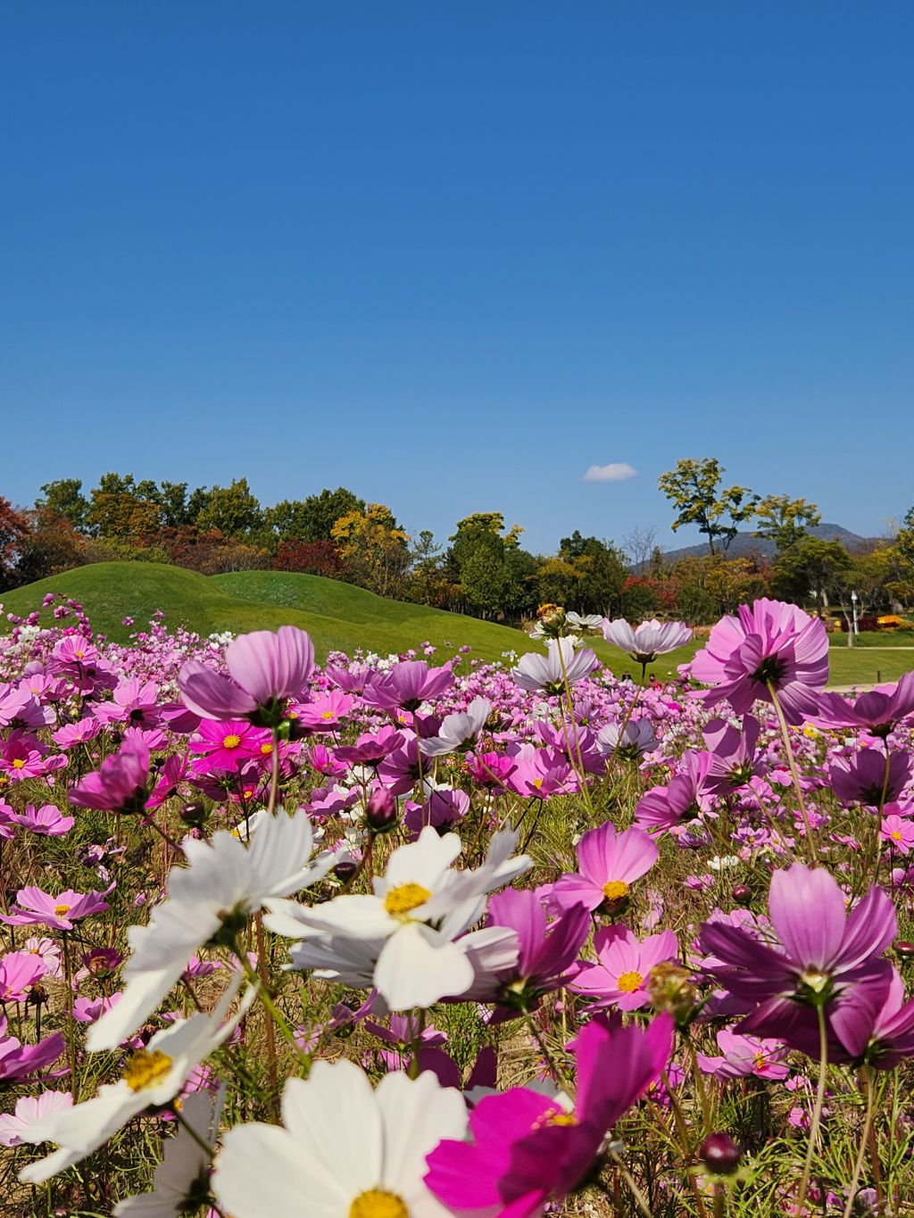 게시글 대표 이미지