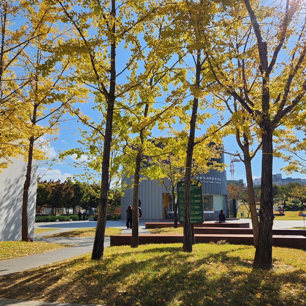 게시글 대표 이미지