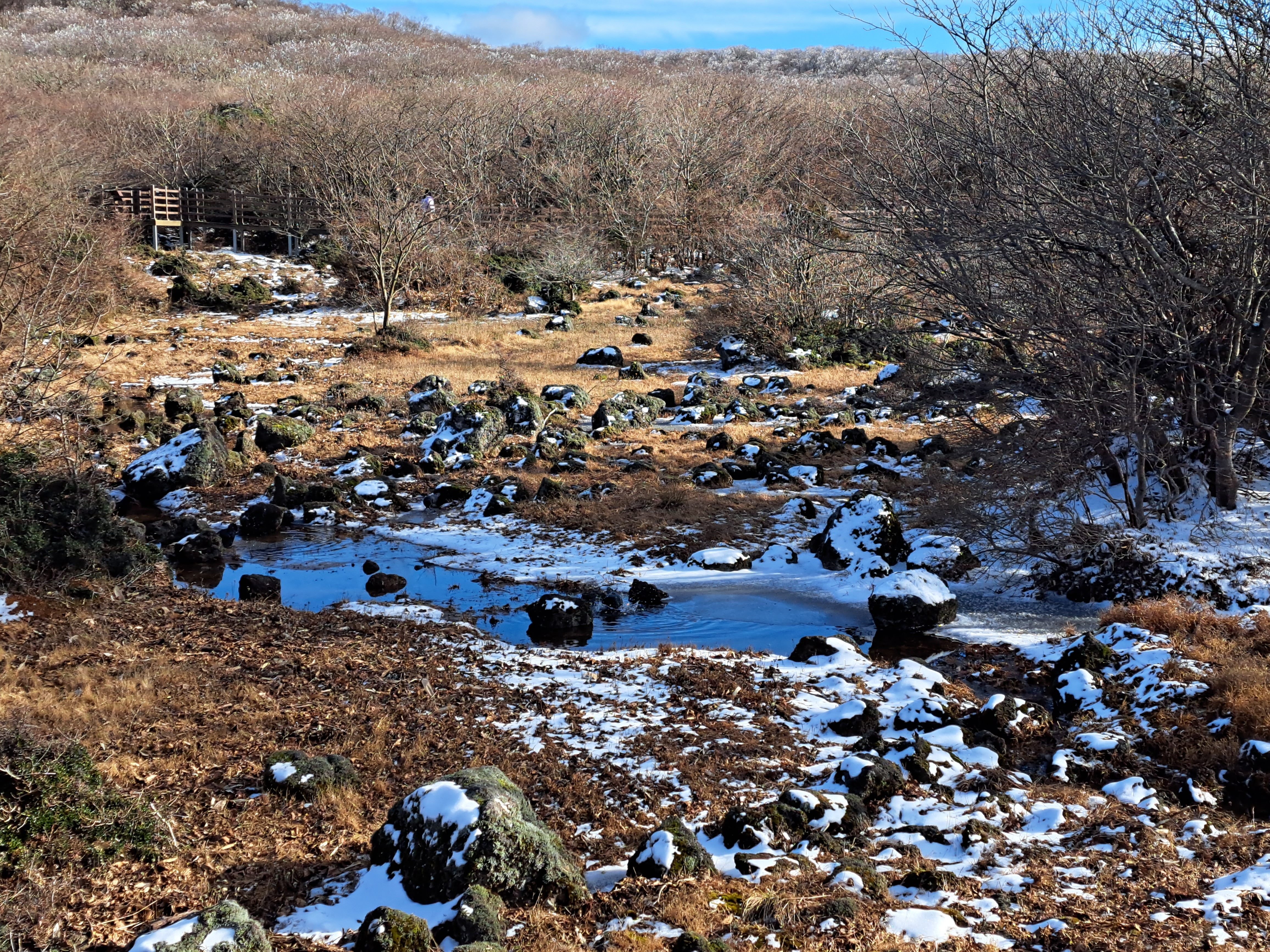 게시글 대표 이미지