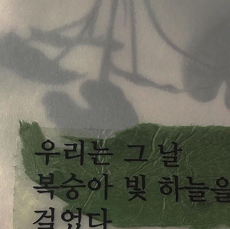 게시글 대표 이미지