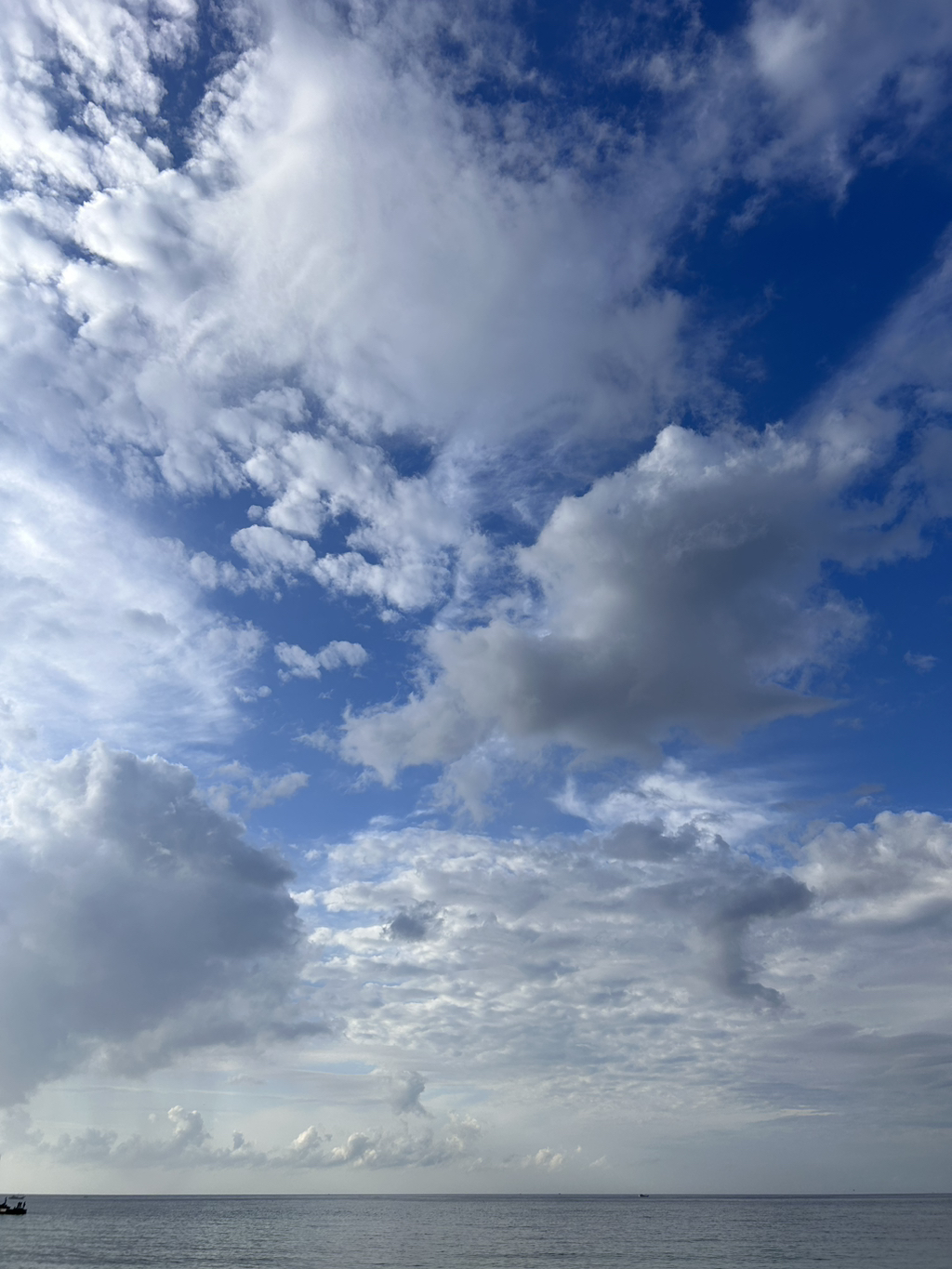 게시글 대표 이미지