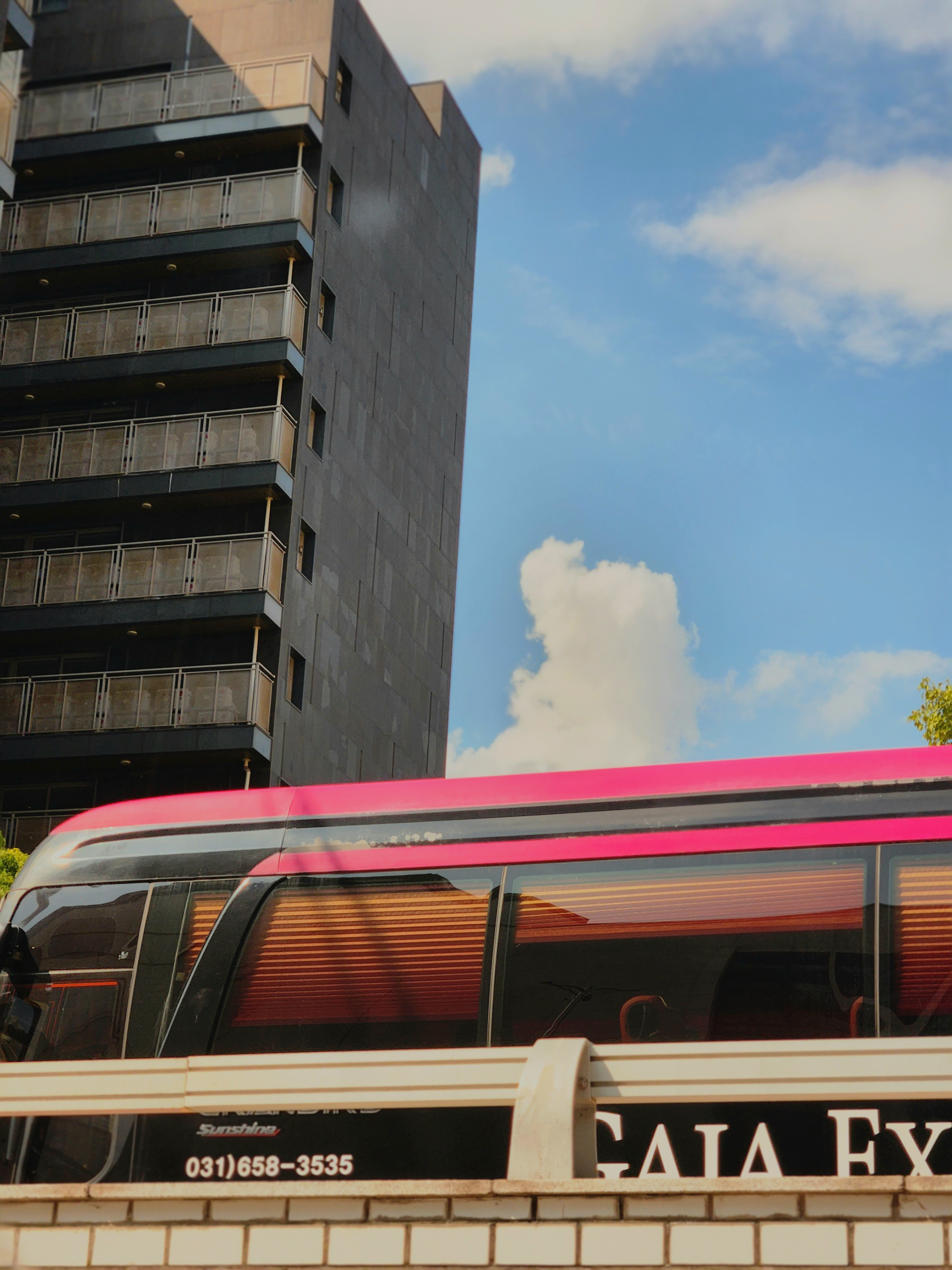 게시글 대표 이미지