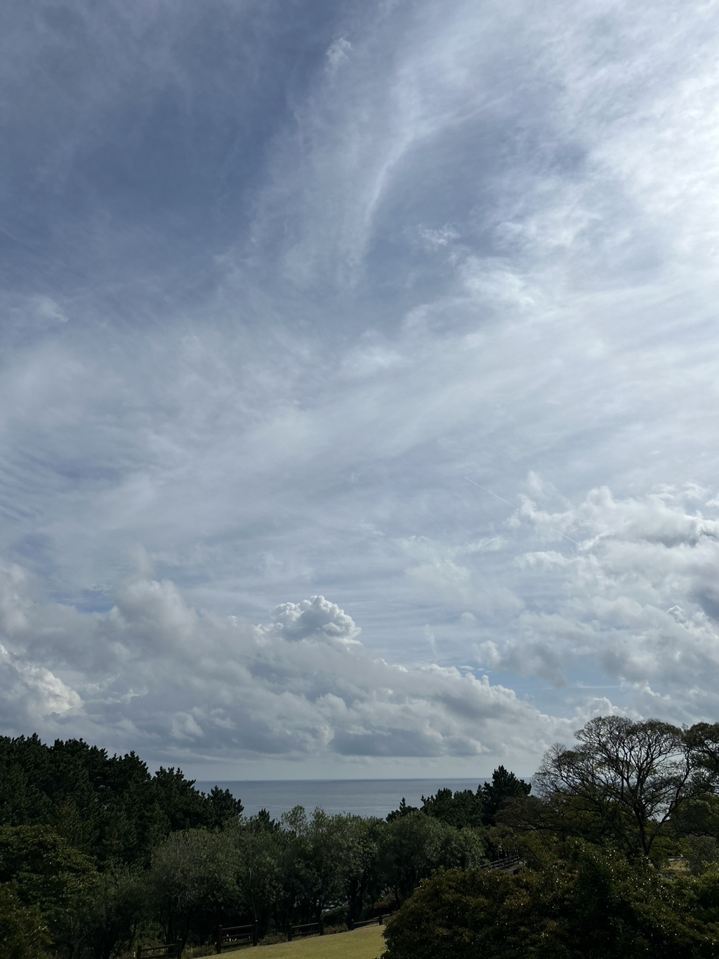 게시글 대표 이미지