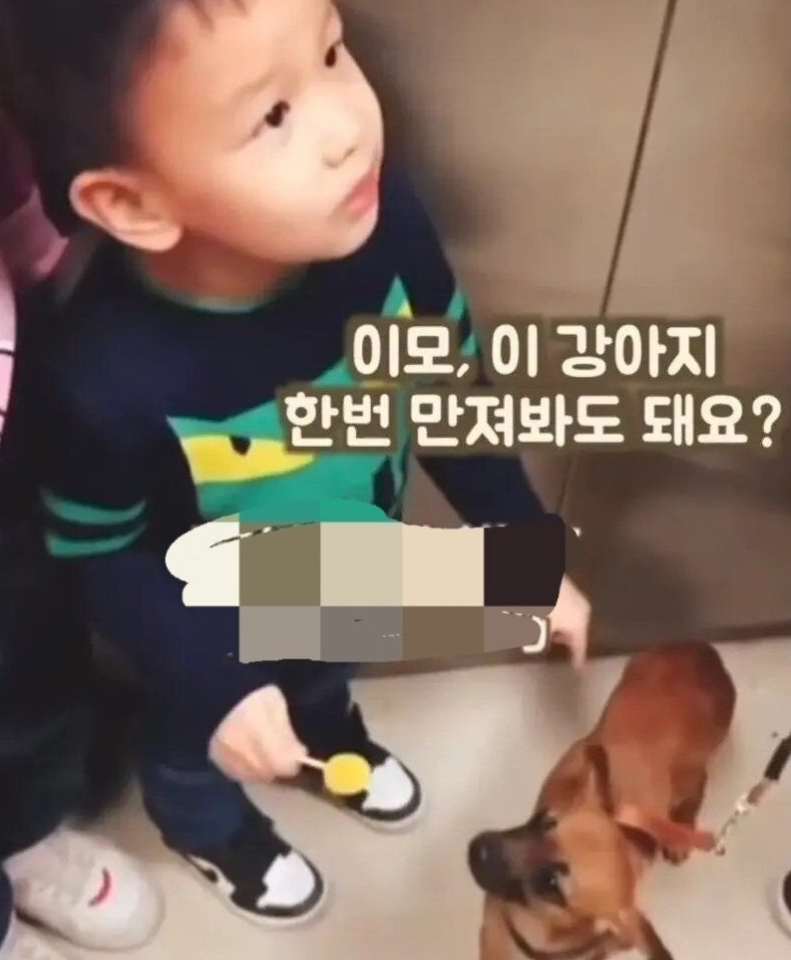 게시글 대표 이미지