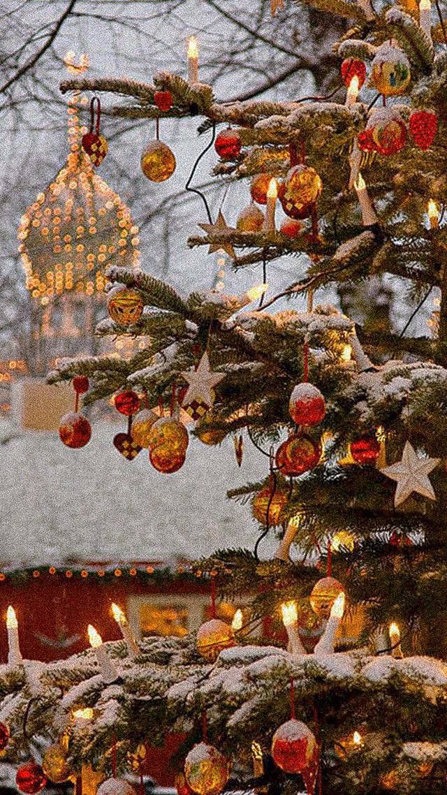 게시글 대표 이미지