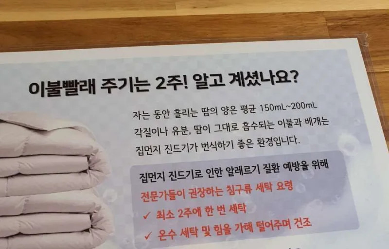 게시글 대표 이미지