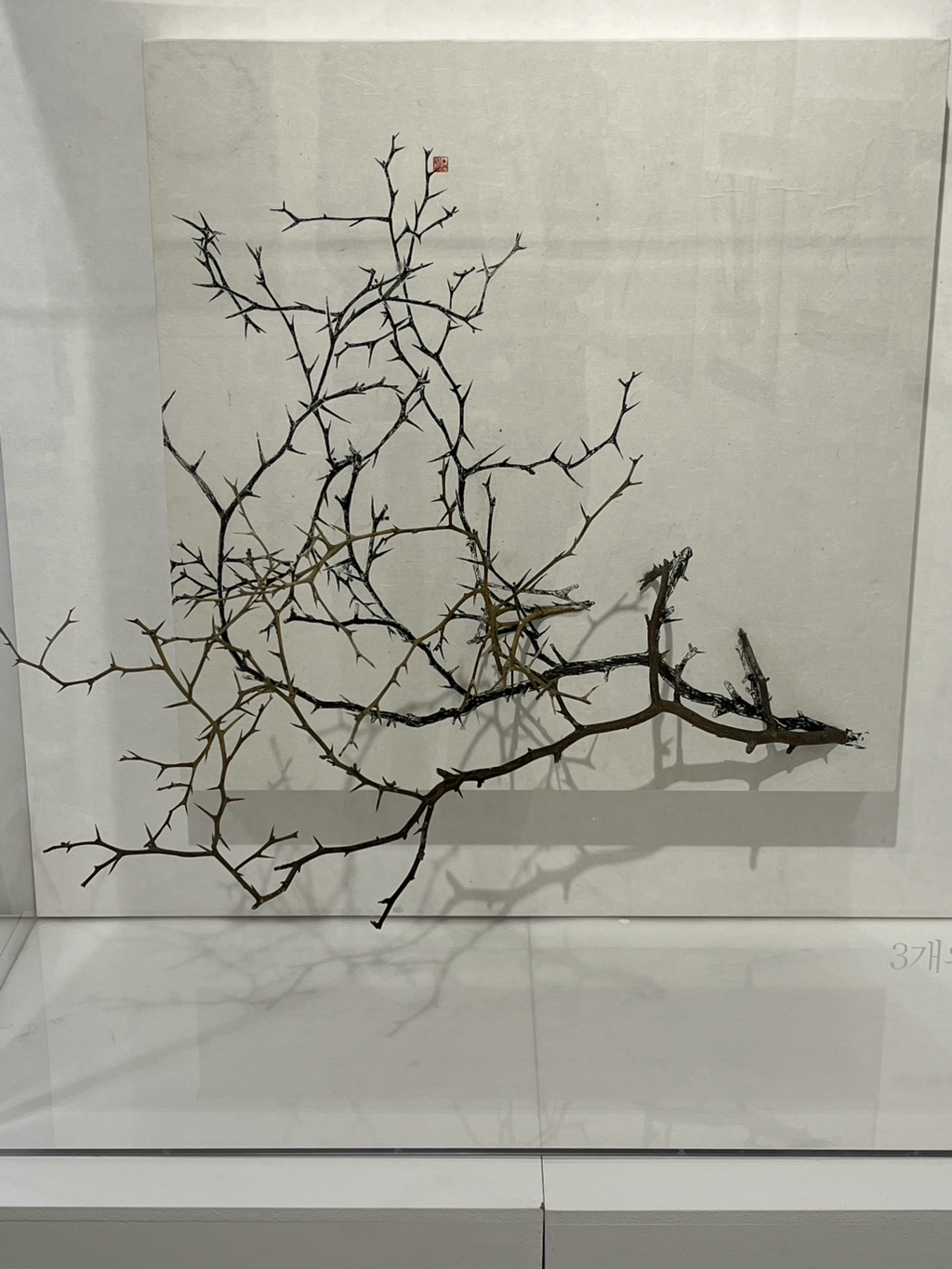 게시글 대표 이미지