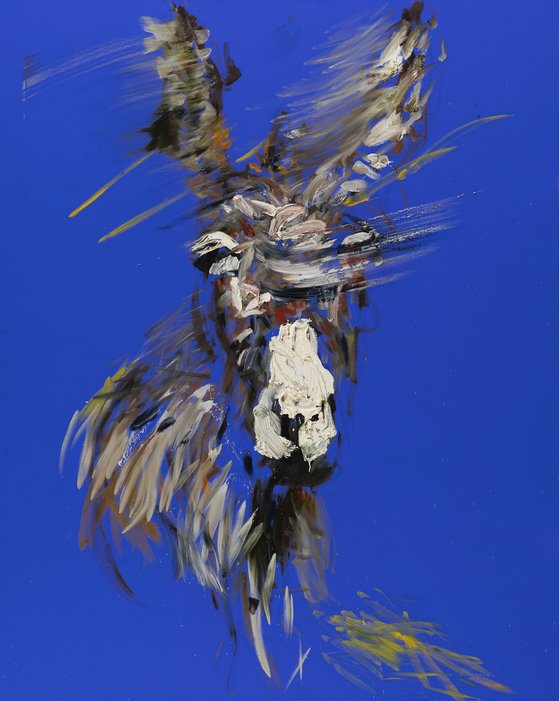 게시글 대표 이미지