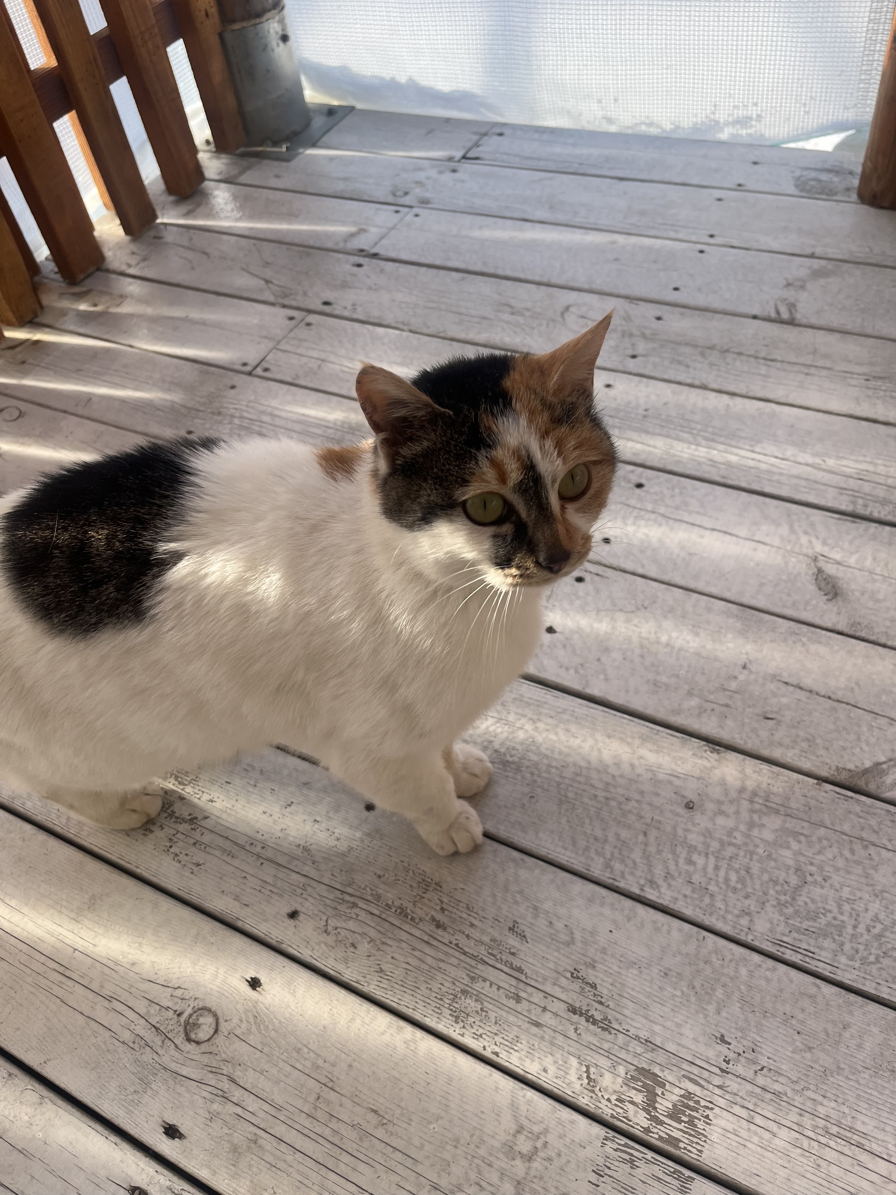 게시글 대표 이미지