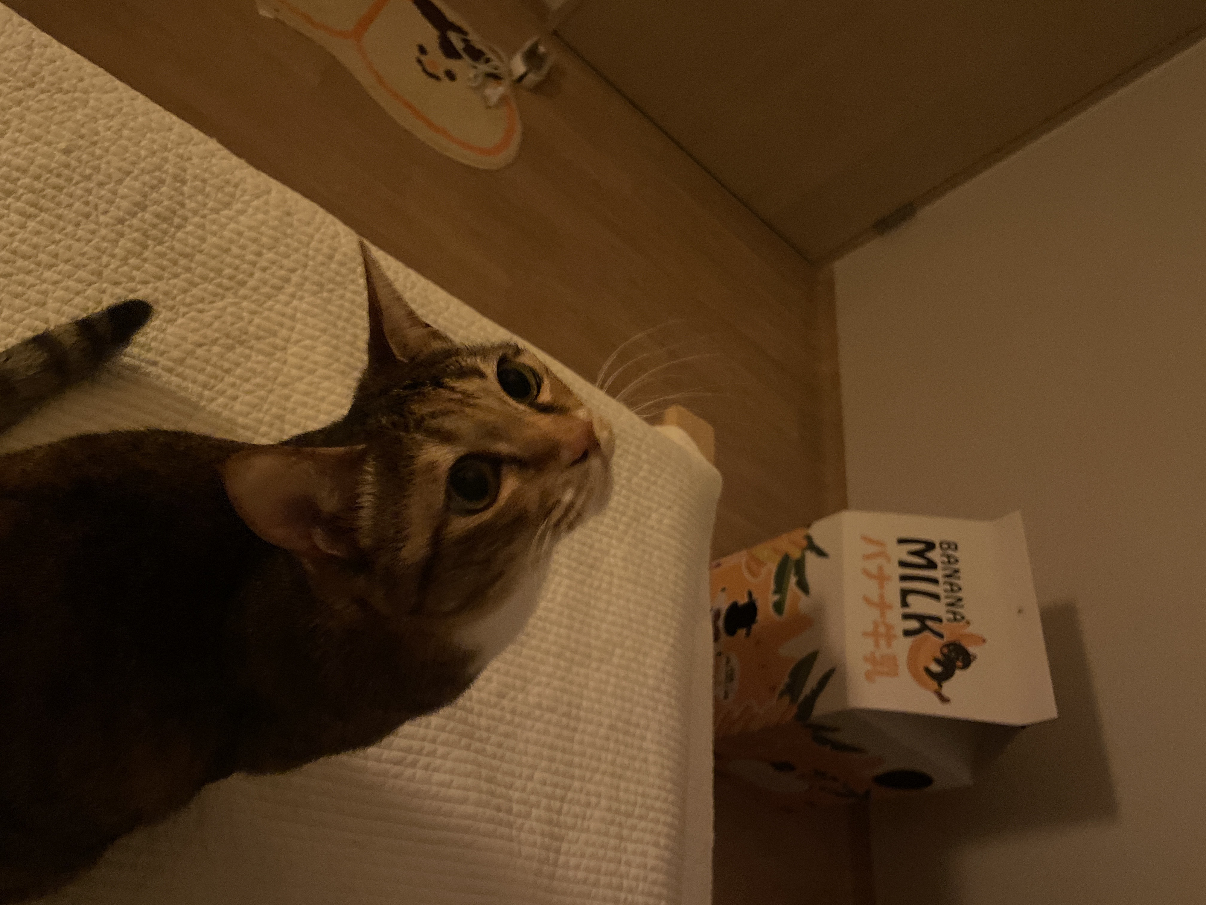 게시글 대표 이미지