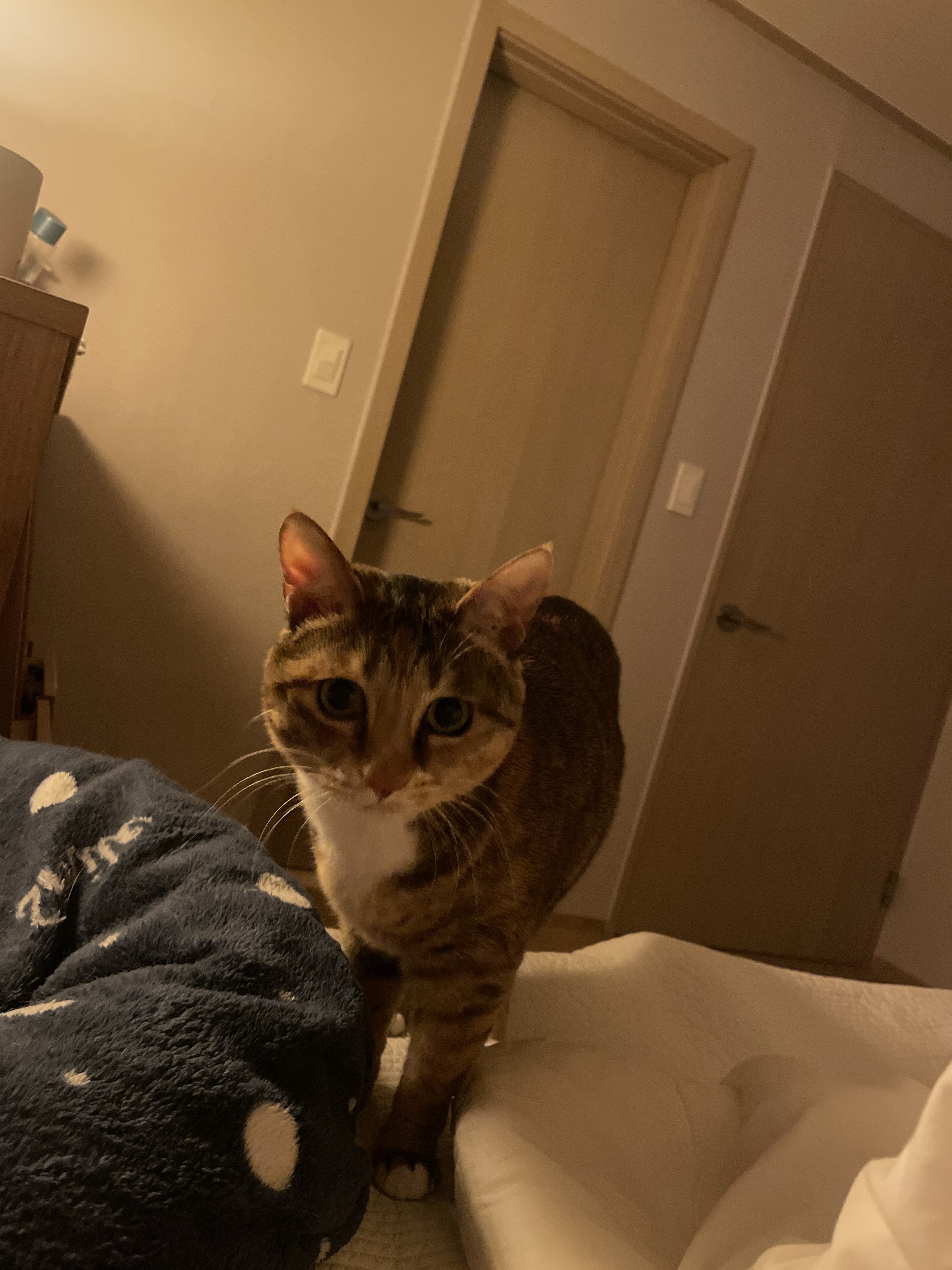 게시글 대표 이미지