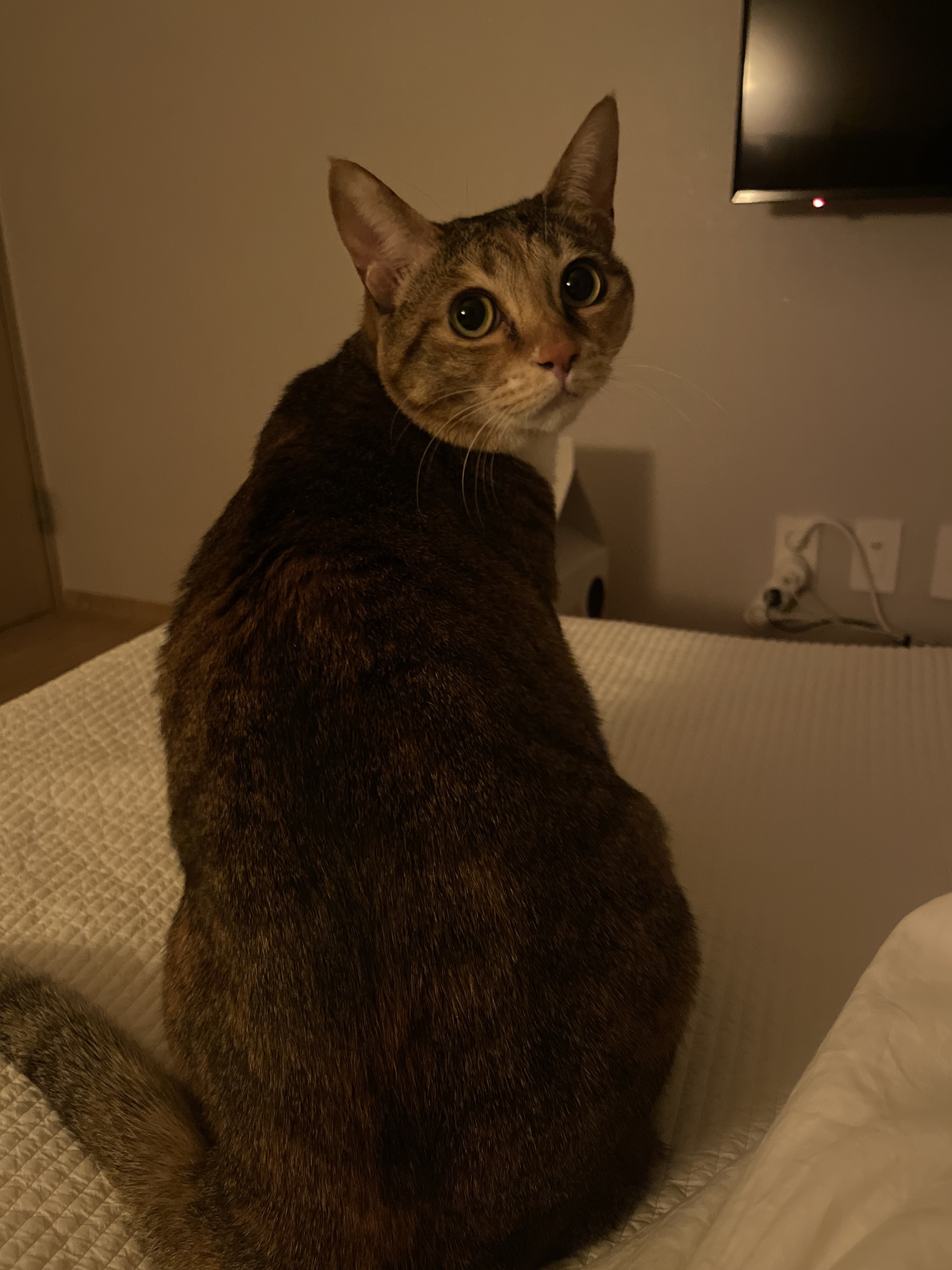 게시글 대표 이미지