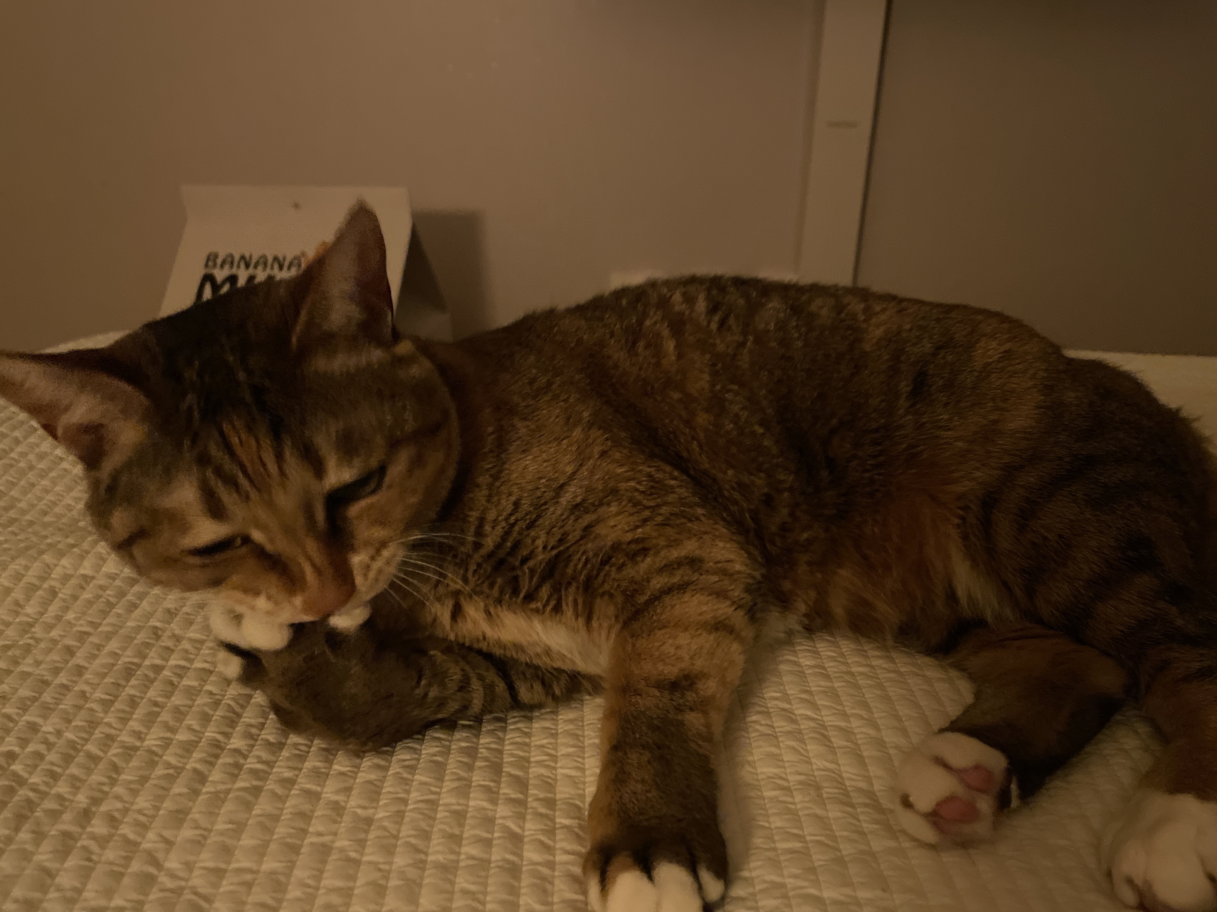 게시글 대표 이미지