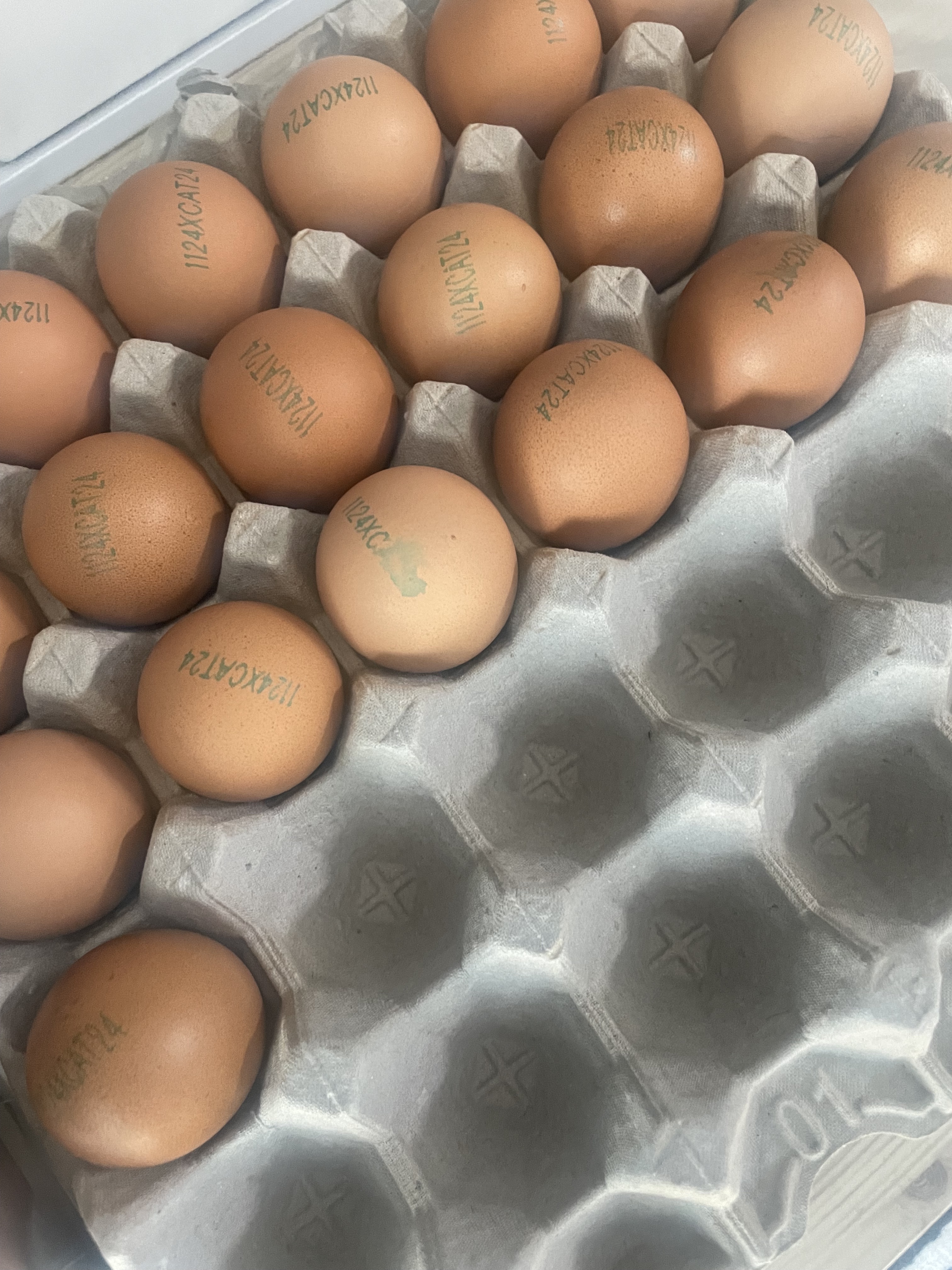 게시글 대표 이미지