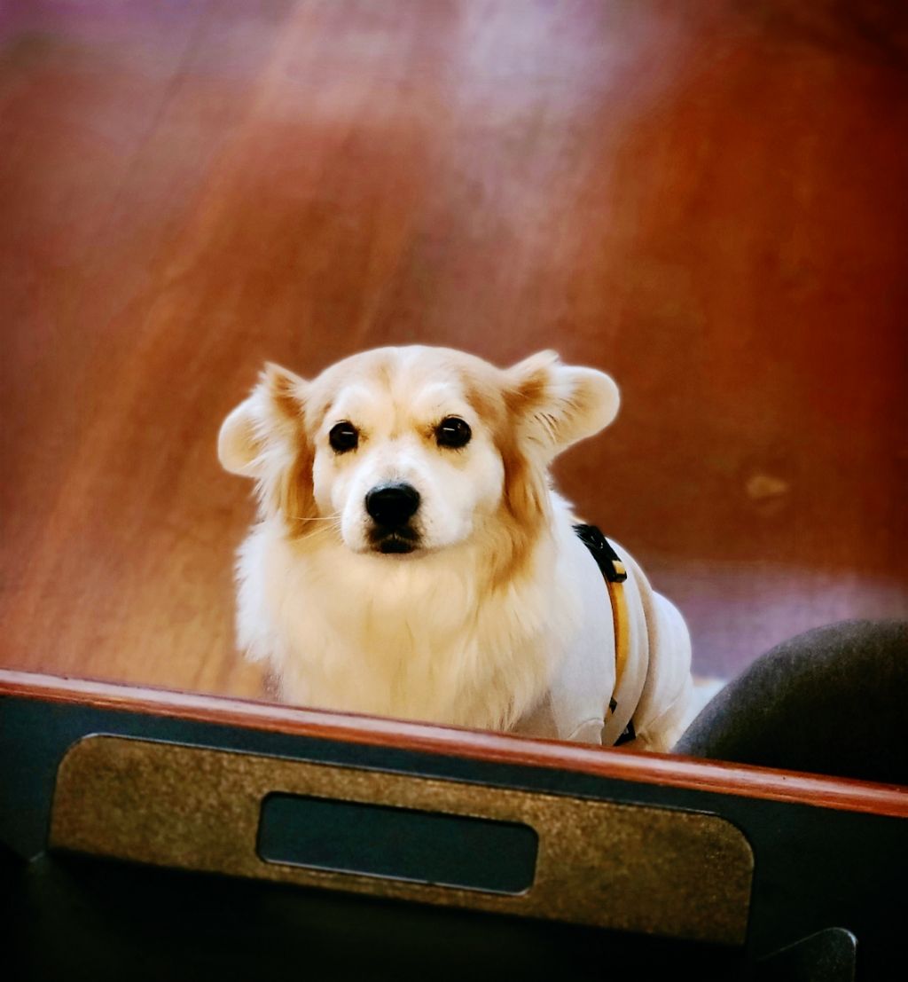 게시글 대표 이미지