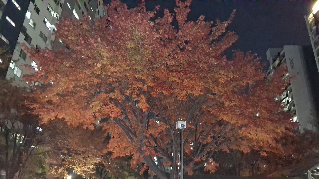 게시글 대표 이미지