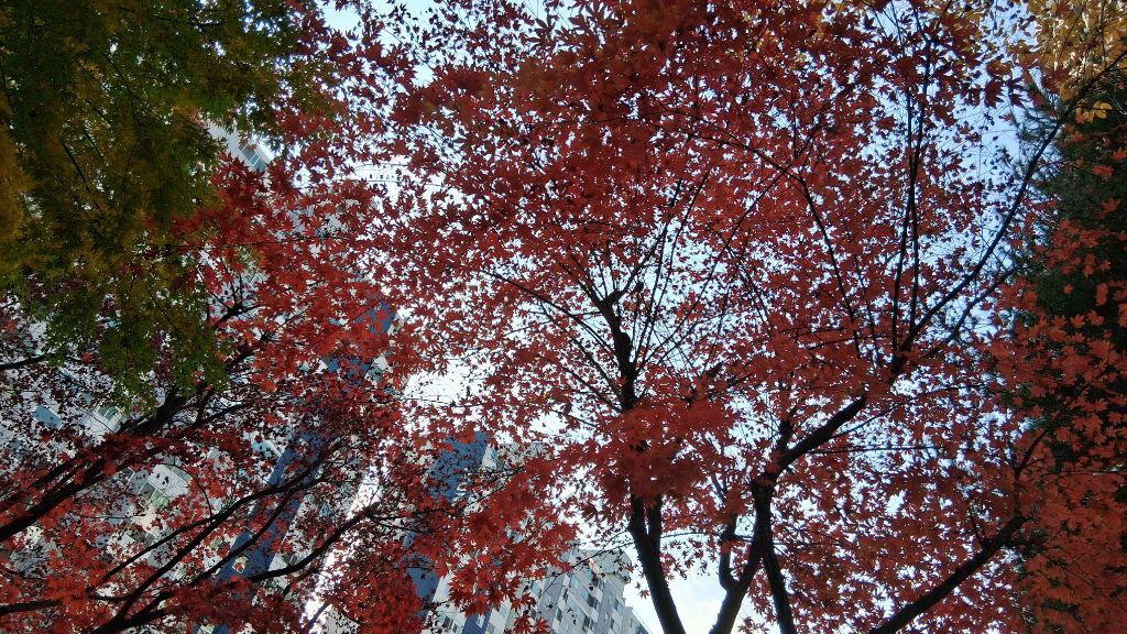 게시글 대표 이미지