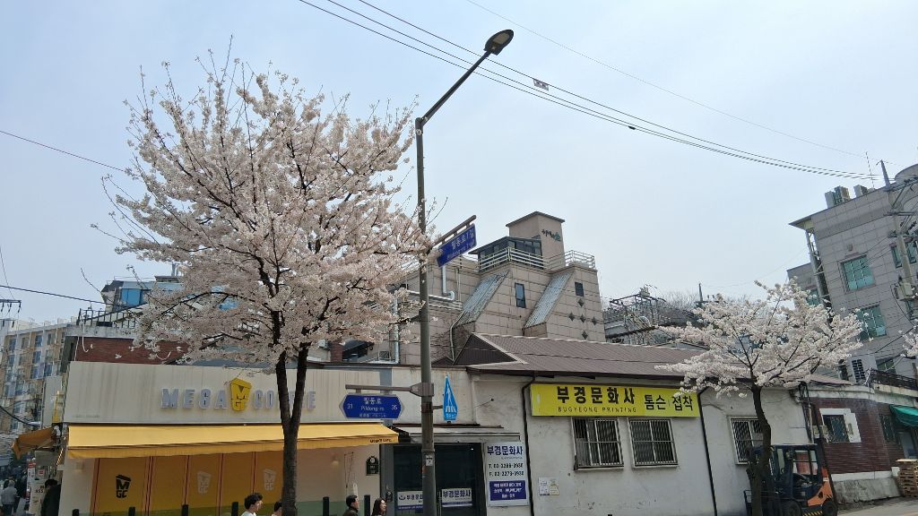 게시글 대표 이미지