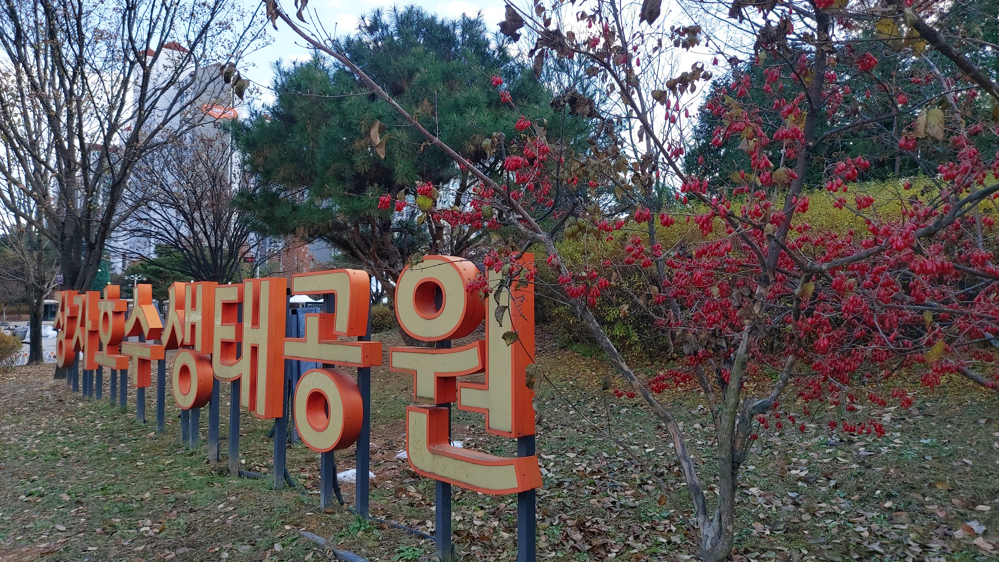 대표이미지