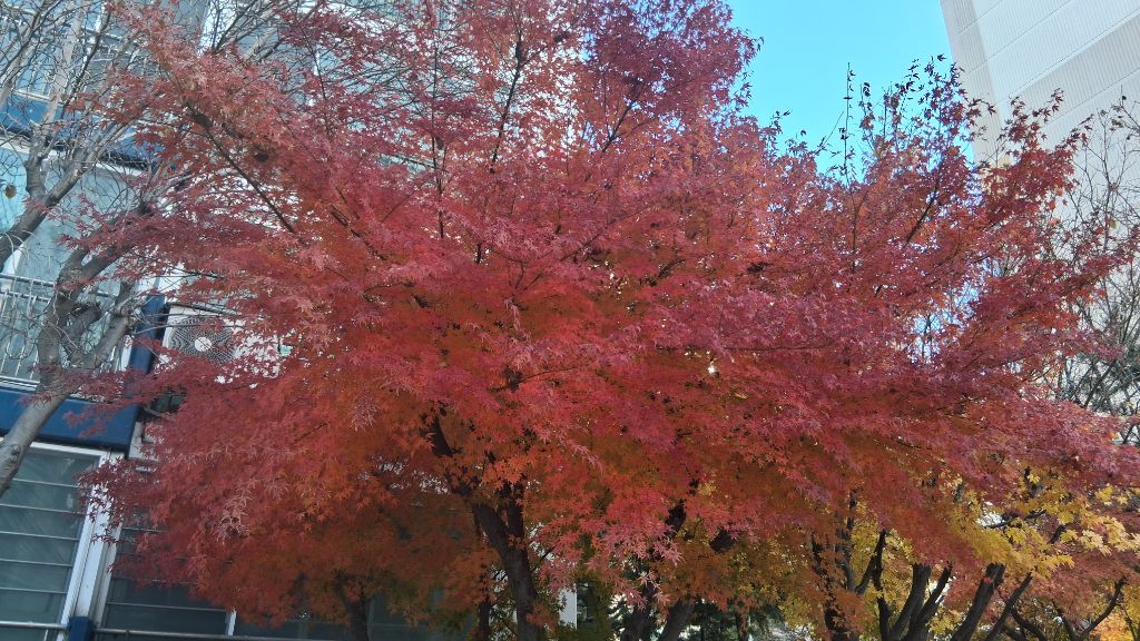 게시글 대표 이미지