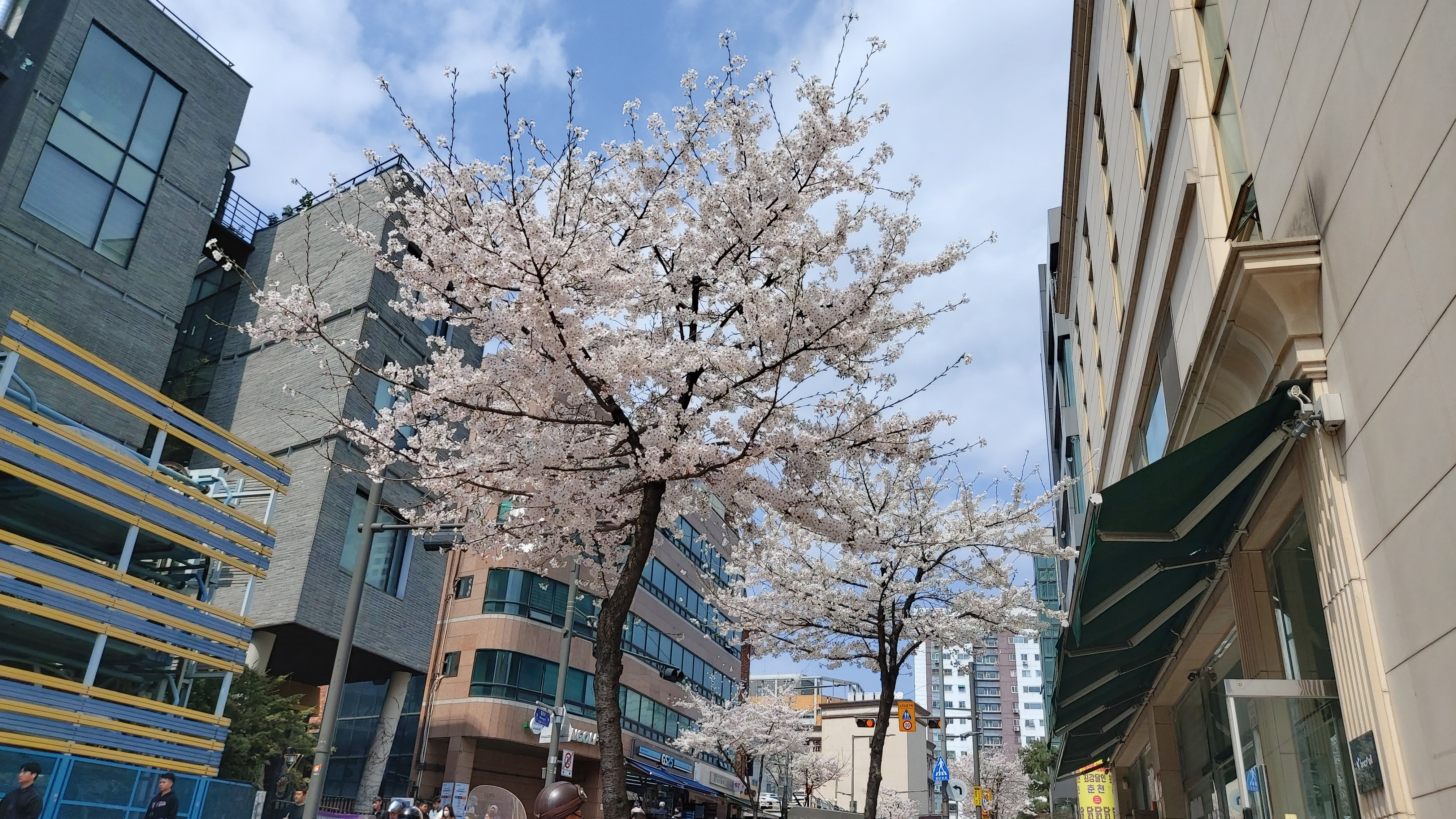 대표이미지