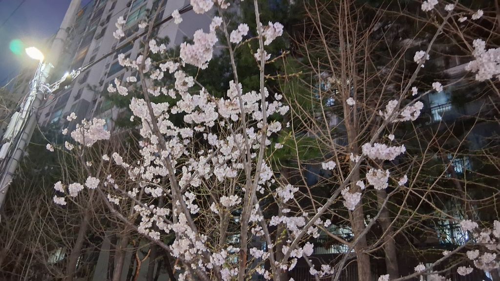 게시글 대표 이미지