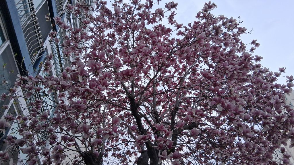 게시글 대표 이미지