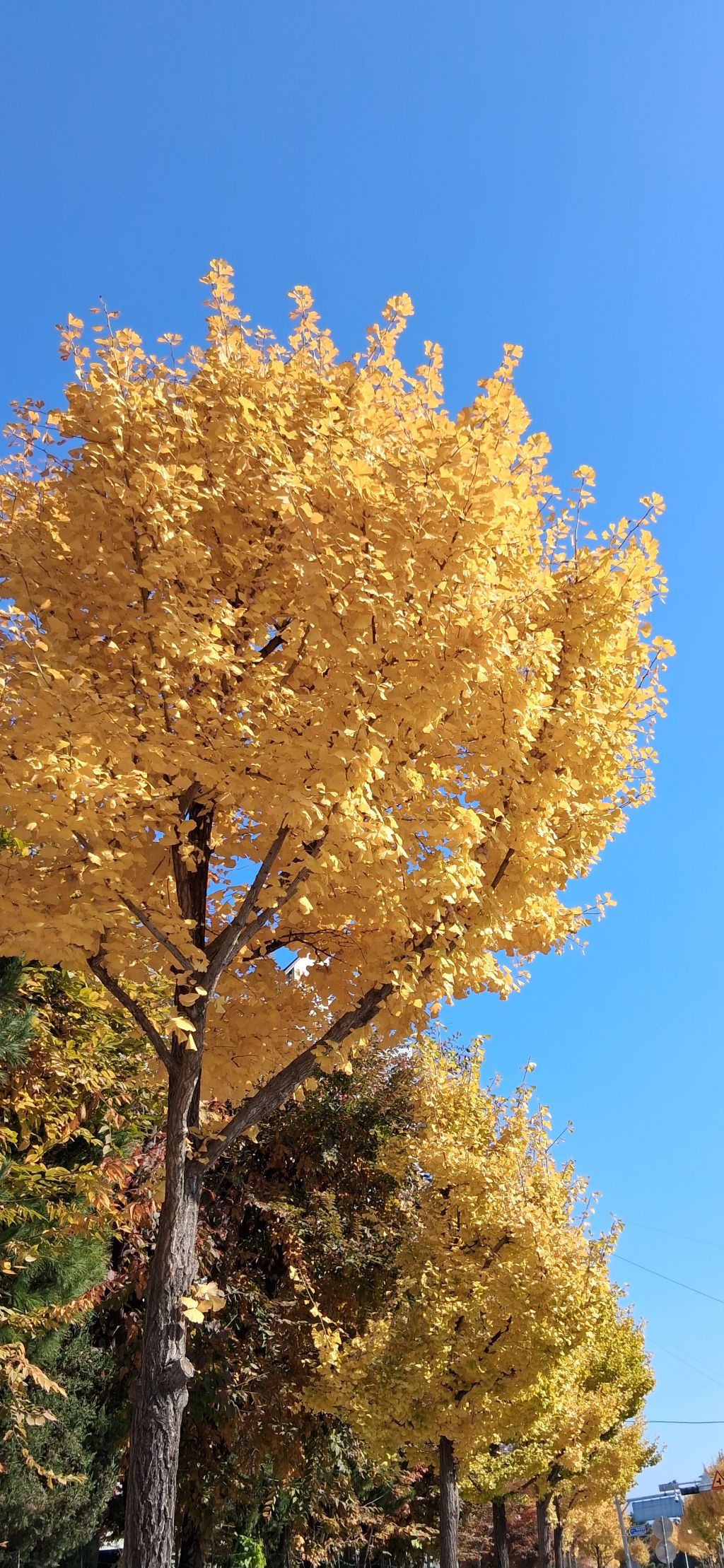 게시글 대표 이미지