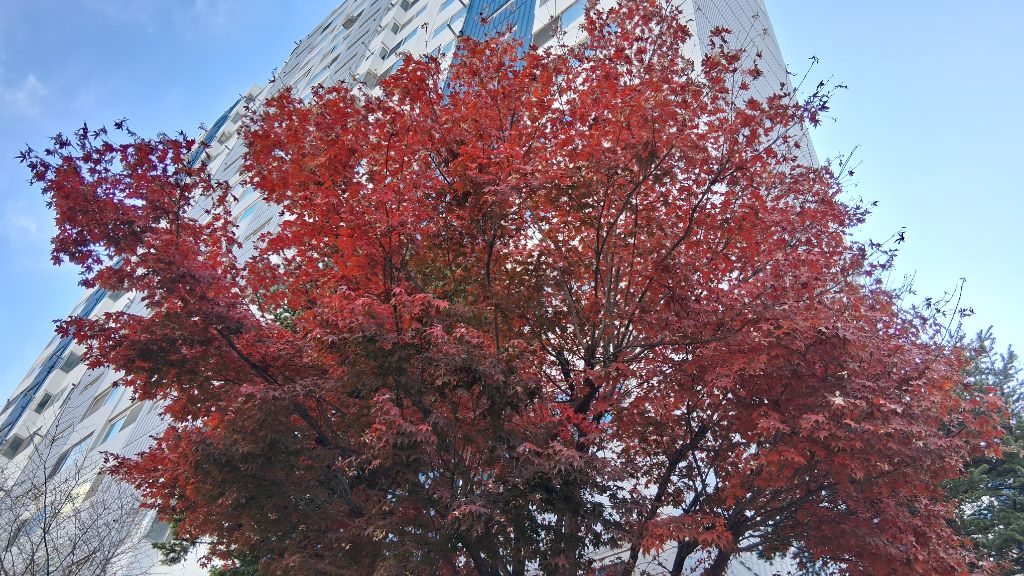 게시글 대표 이미지