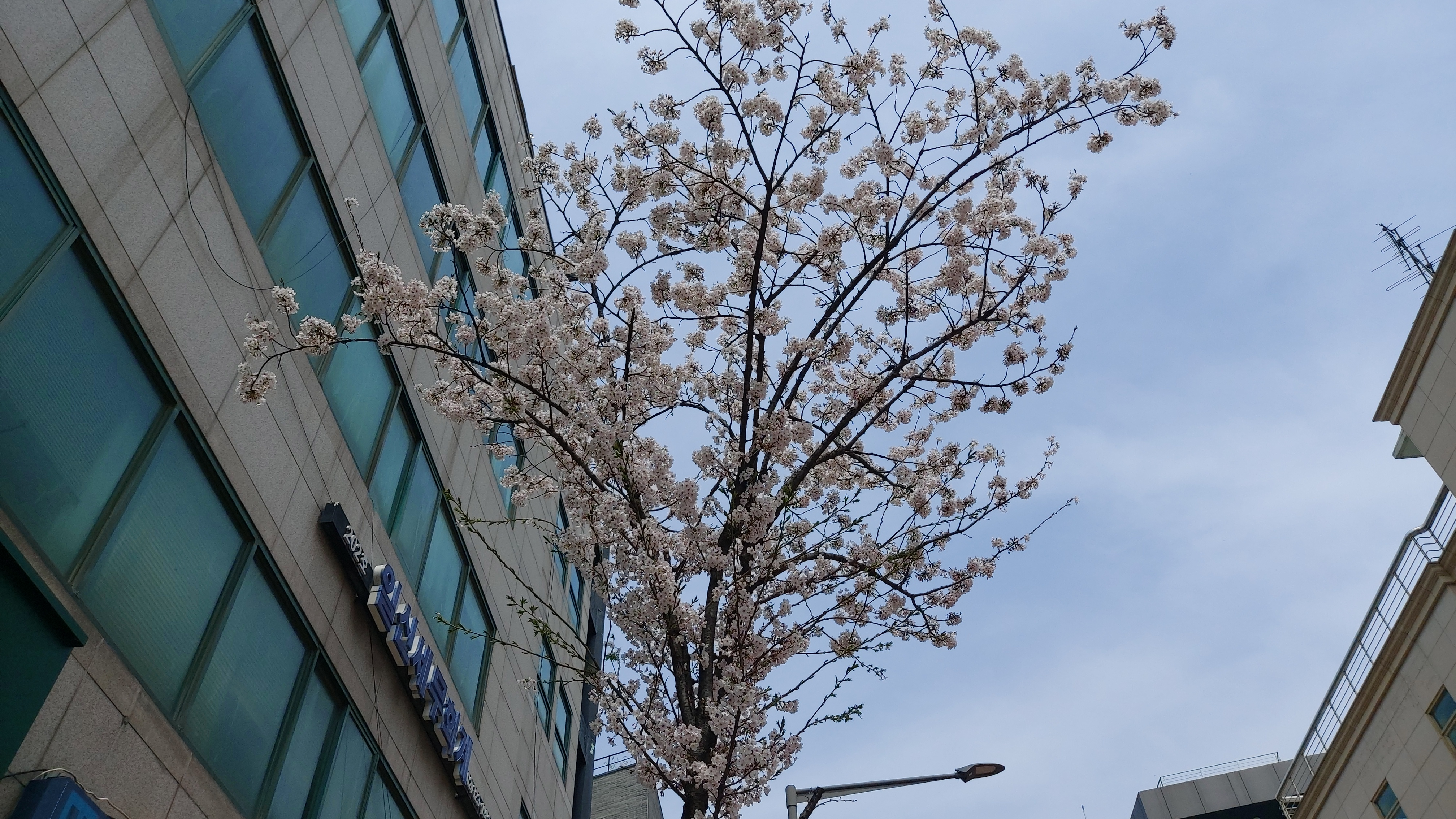 대표이미지